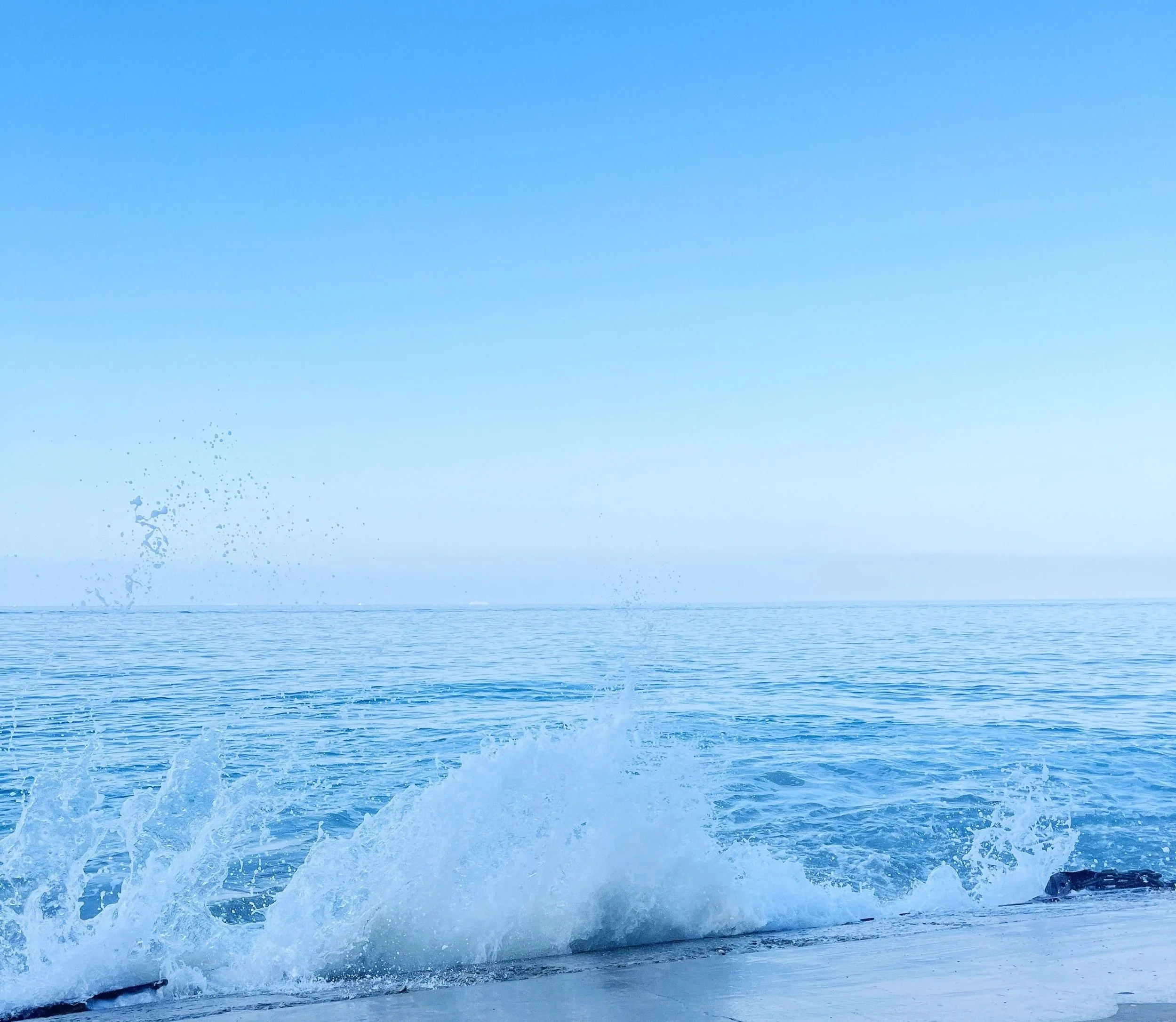 Break the Cycle Program