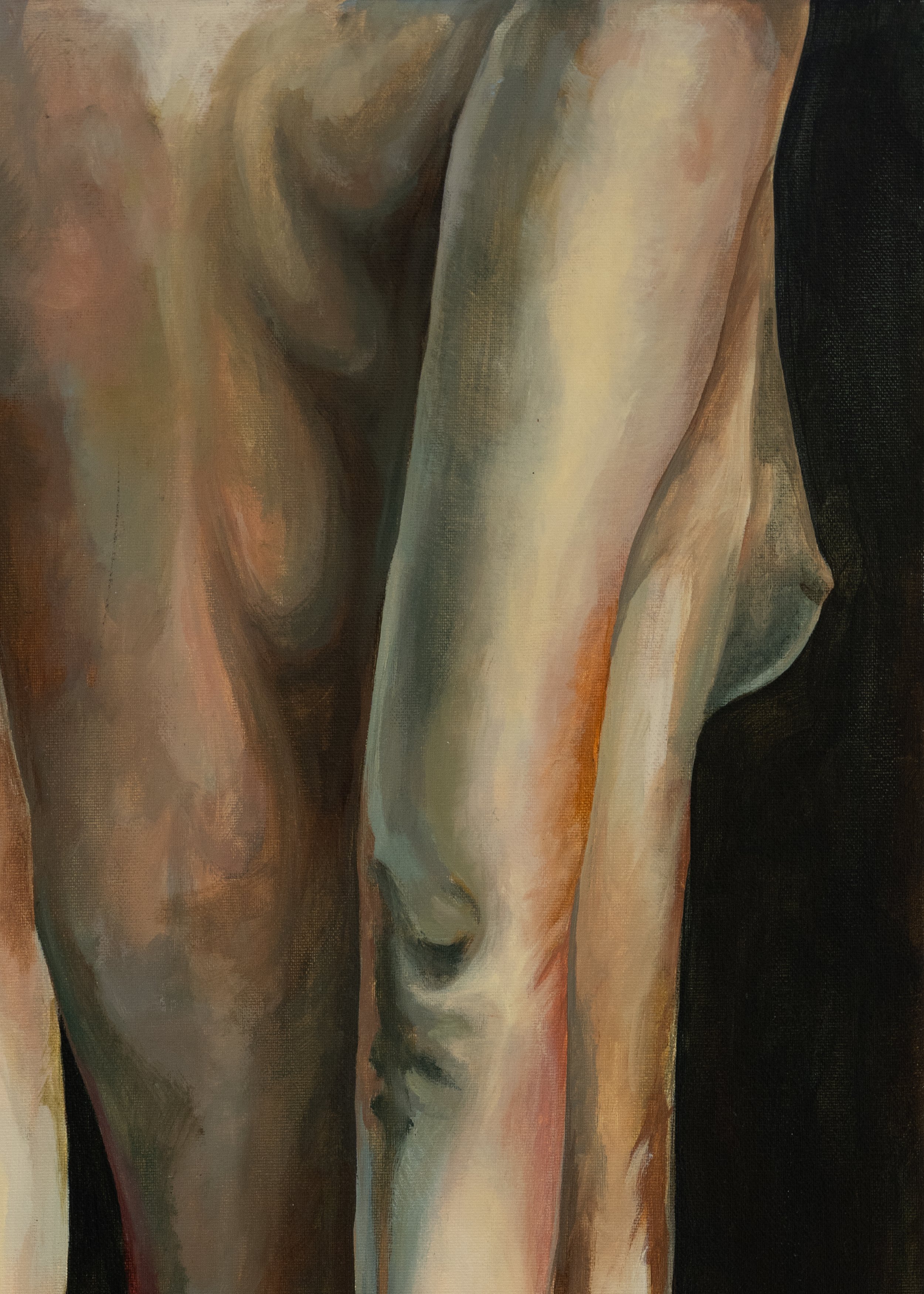 TSIB_close-up_2.jpg