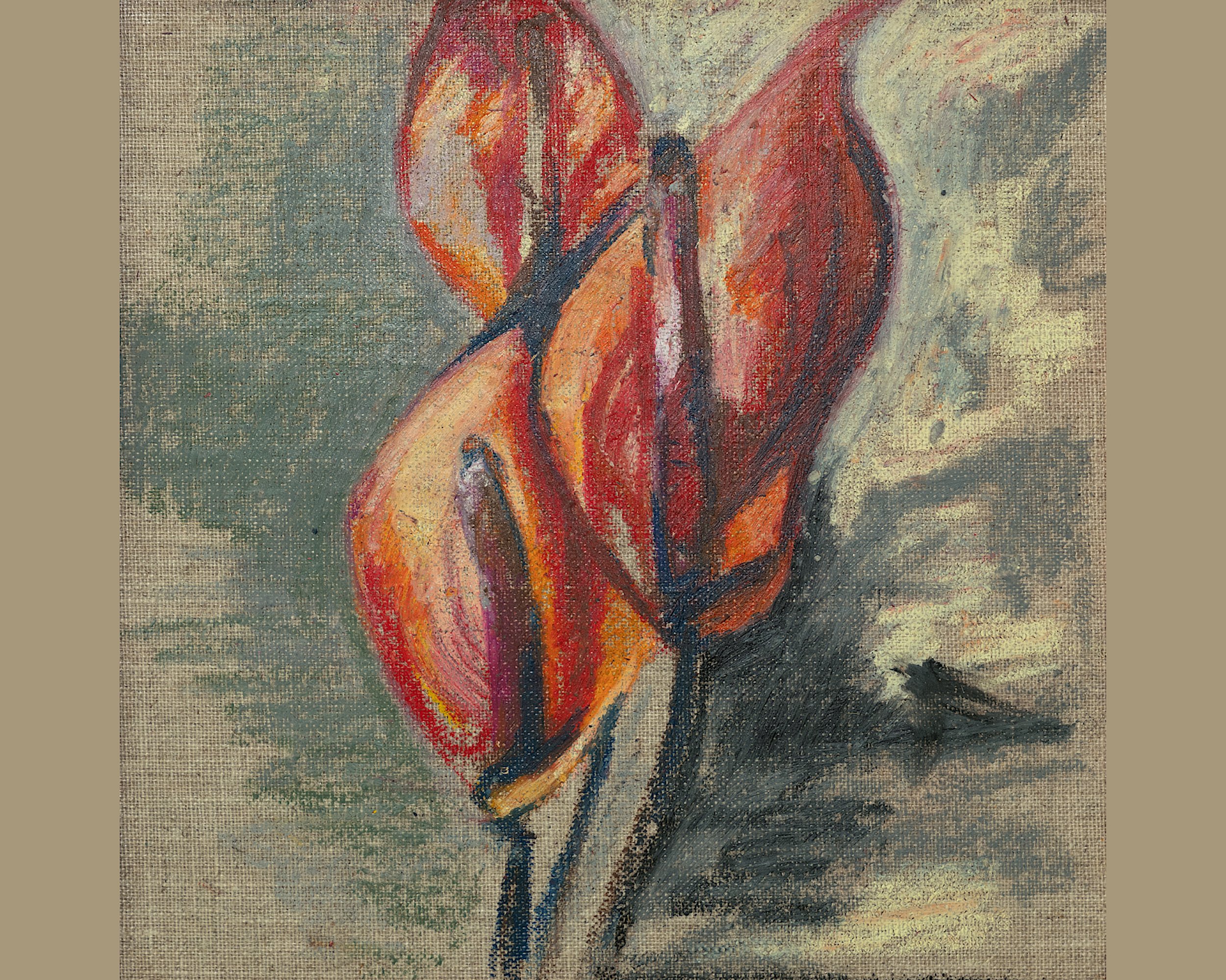 Bleeding anthurium_web.jpg
