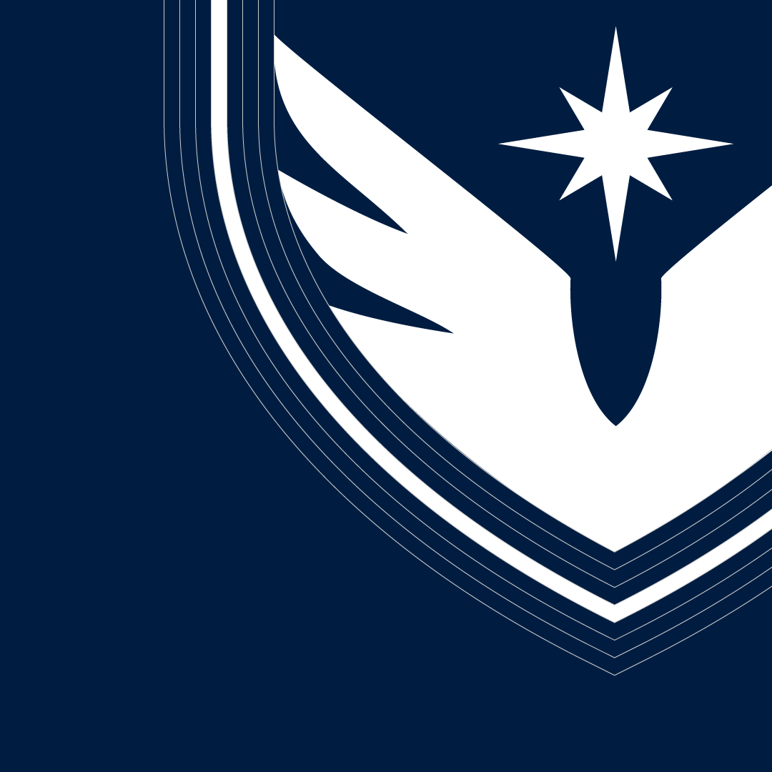Work_TLF-logo-zoom.png