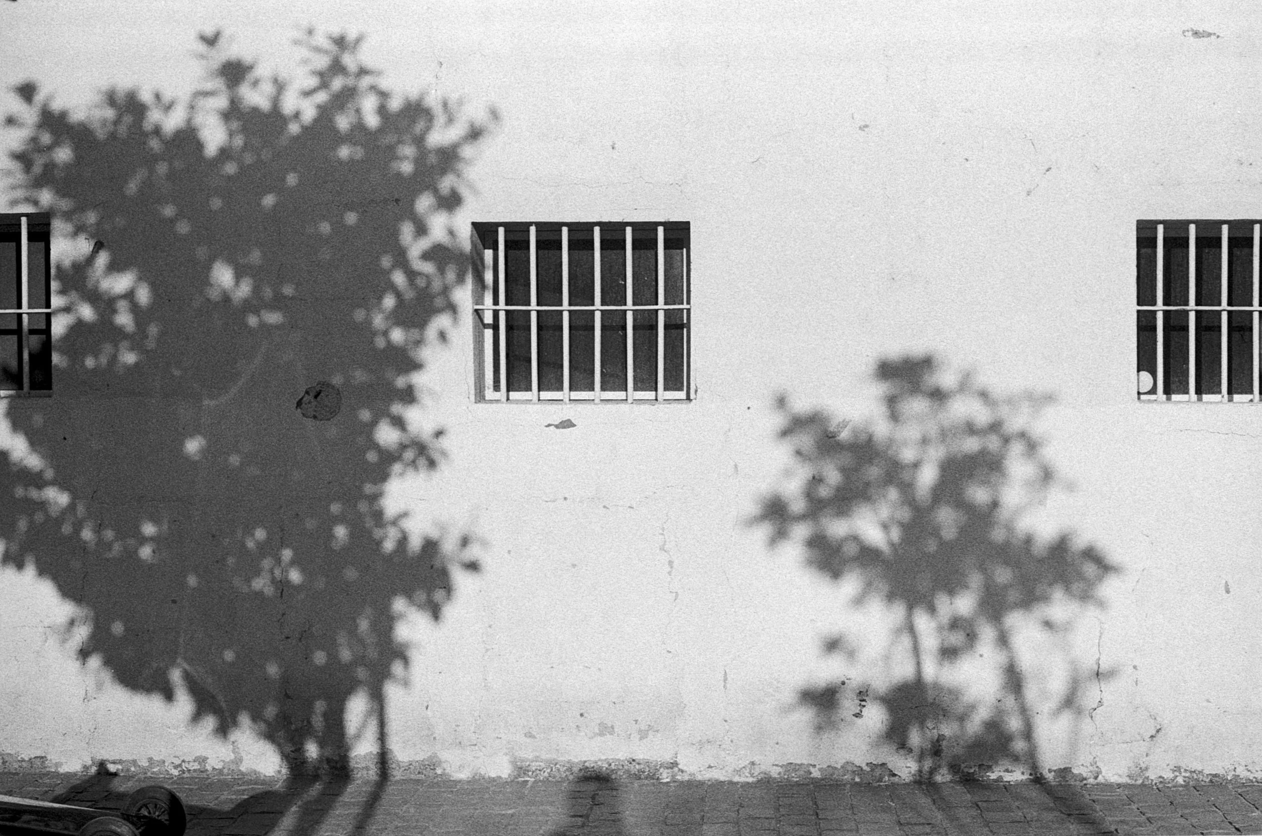 Barrotes y sombras (Valparaíso, 2021)