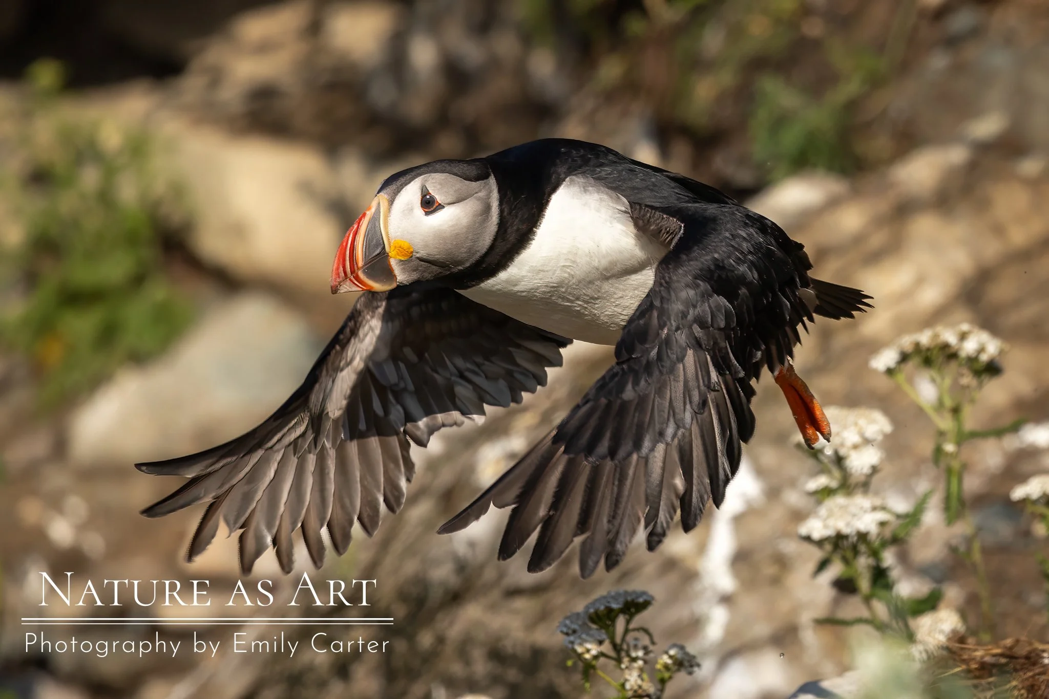 CA26jul24-5747-Edit.jpg