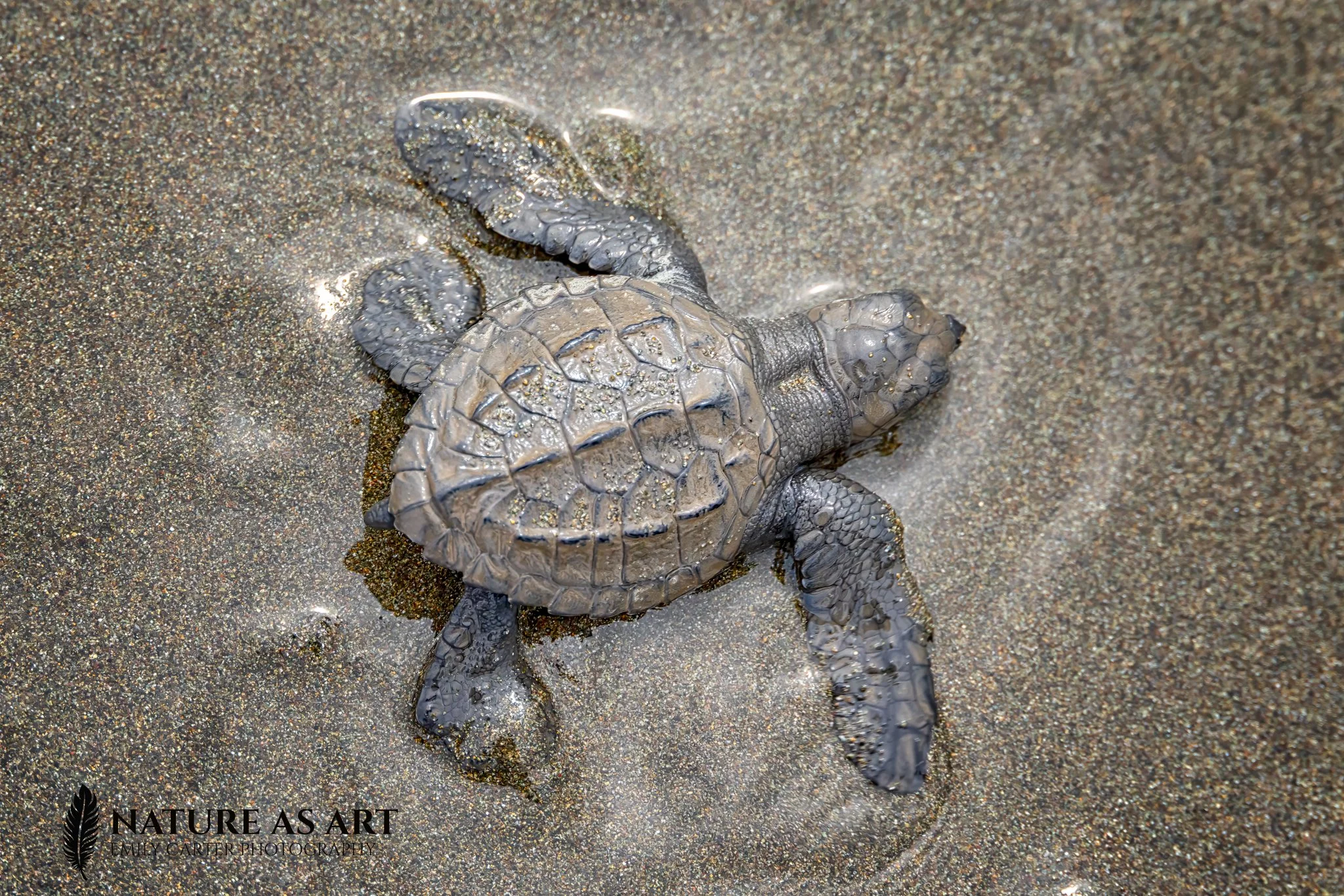 Costa Rica Women's Retreat November 2026 - SOLD OUT