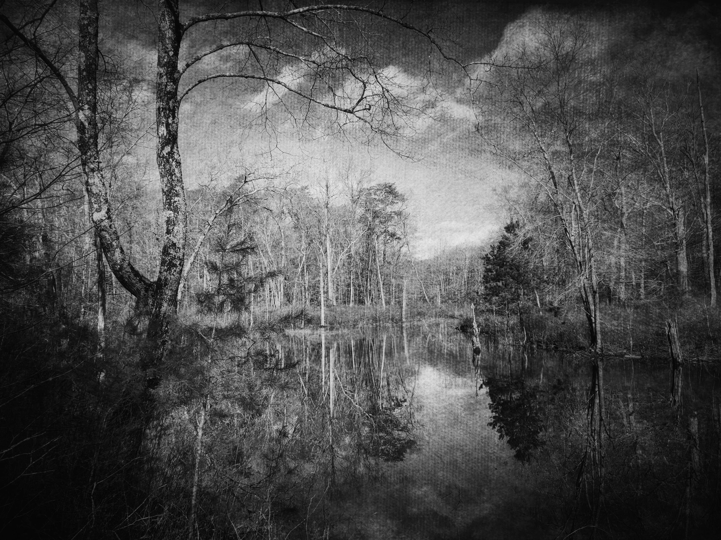 Winter at Peeper's Pond.JPG