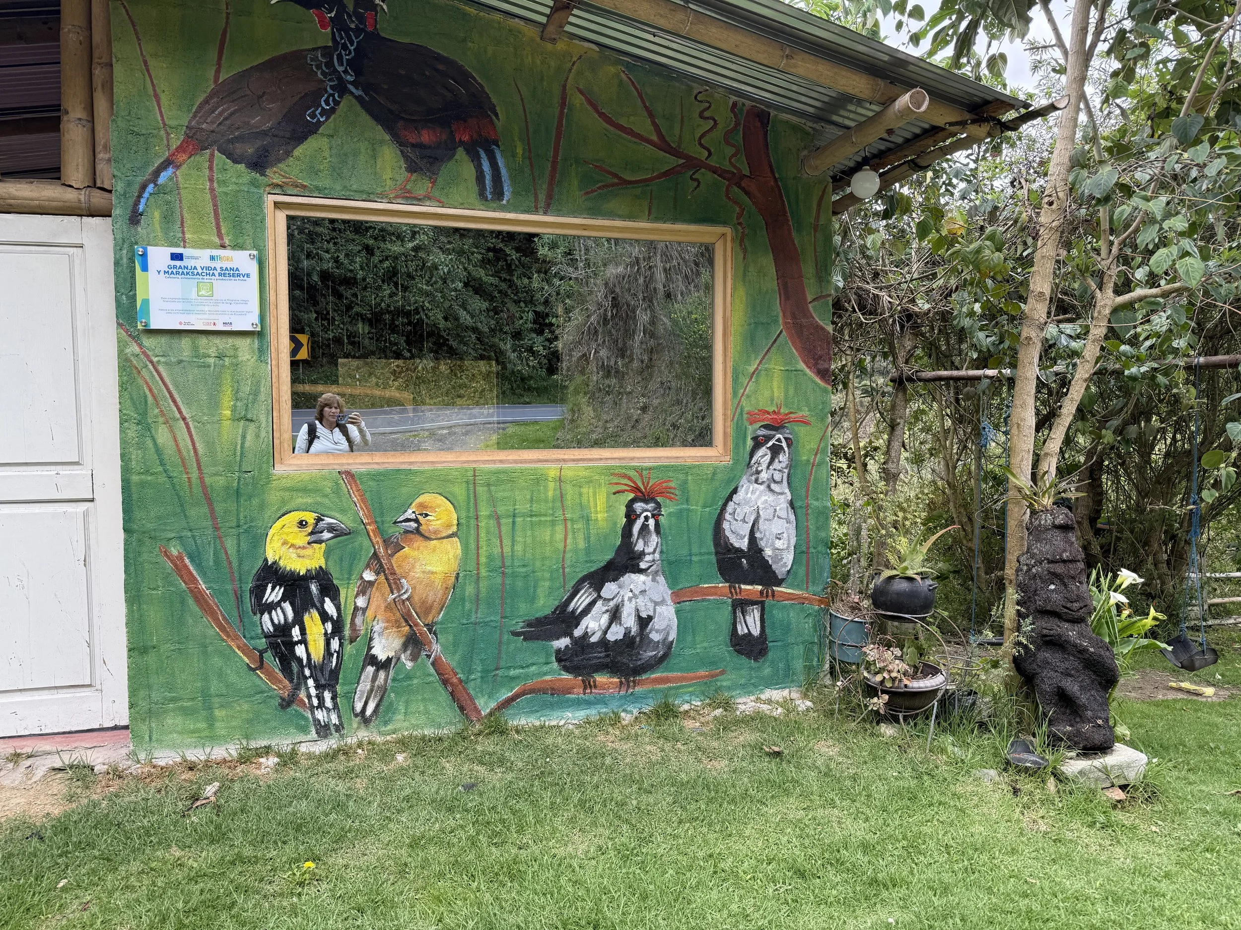 Ecuador Cloud Forest January 2026 - SOLD OUT