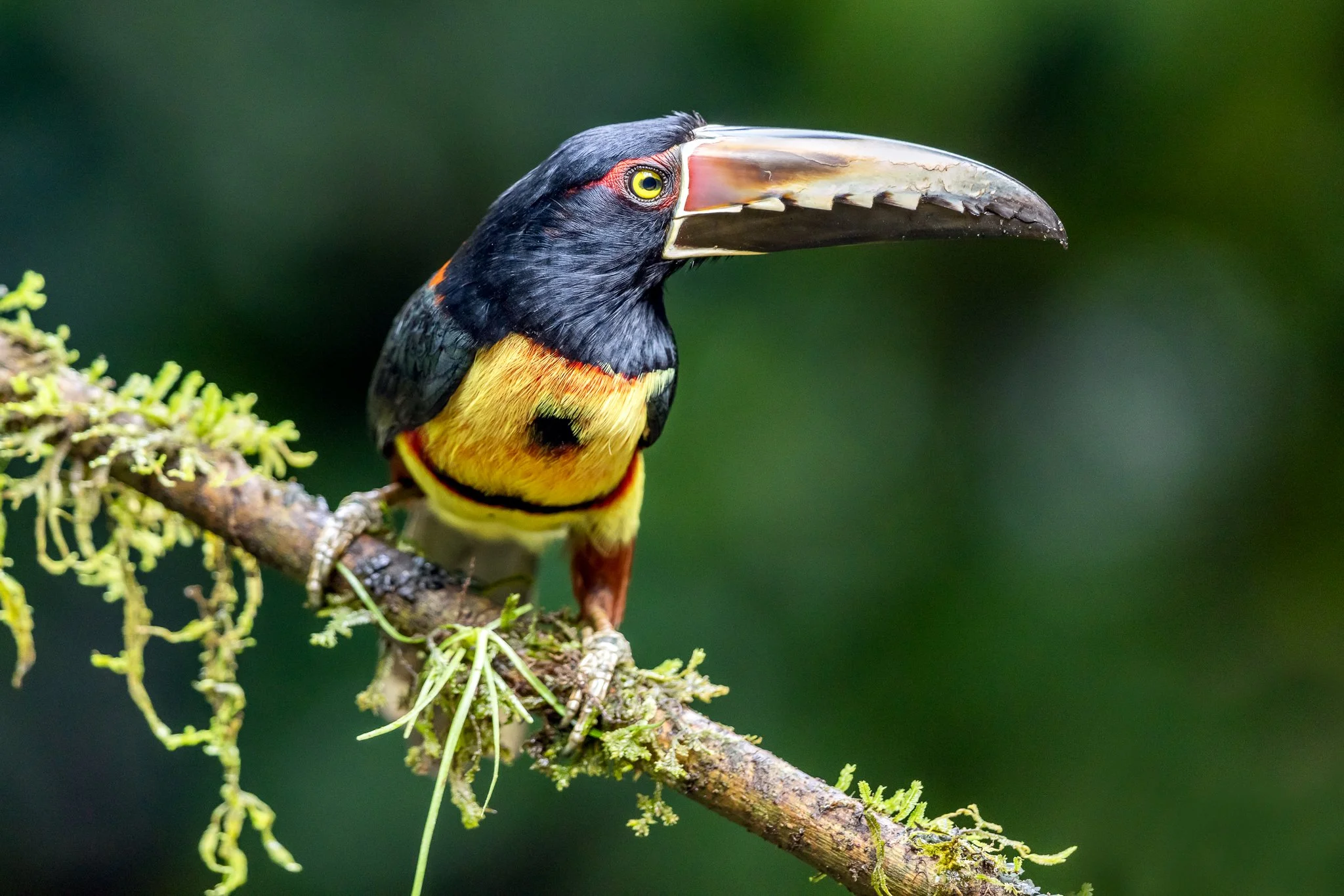 Costa Rica March 2026