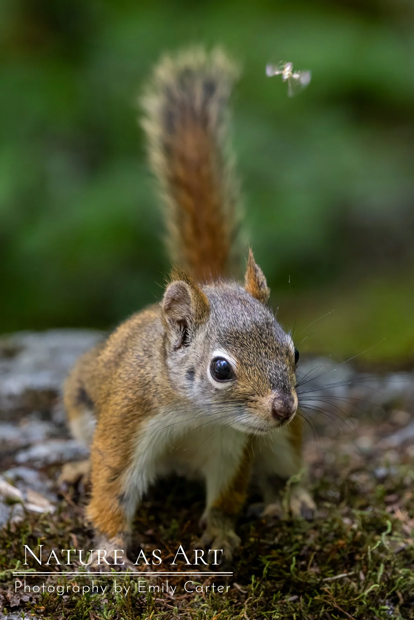 CA26jul24-4808-Edit.jpg