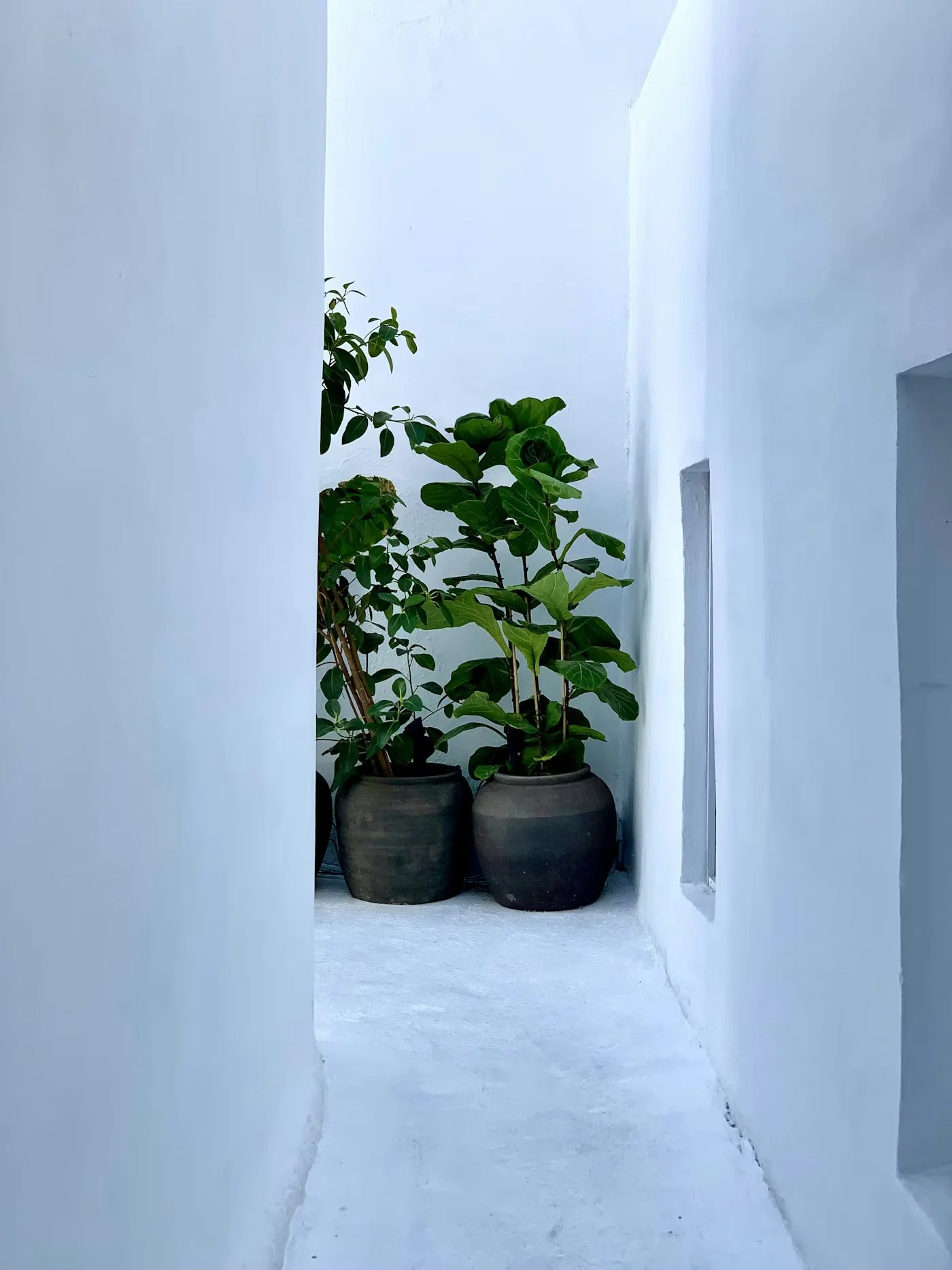 Creating Livable Spaces That Support Mental Wellness