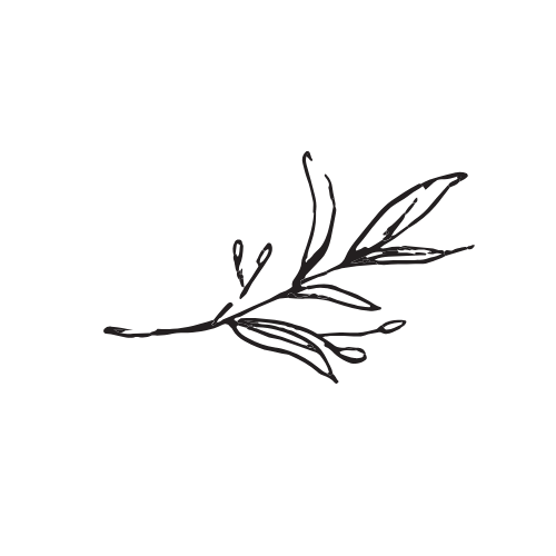 A simple, minimalist line drawing of a sprig with leaves and small buds.