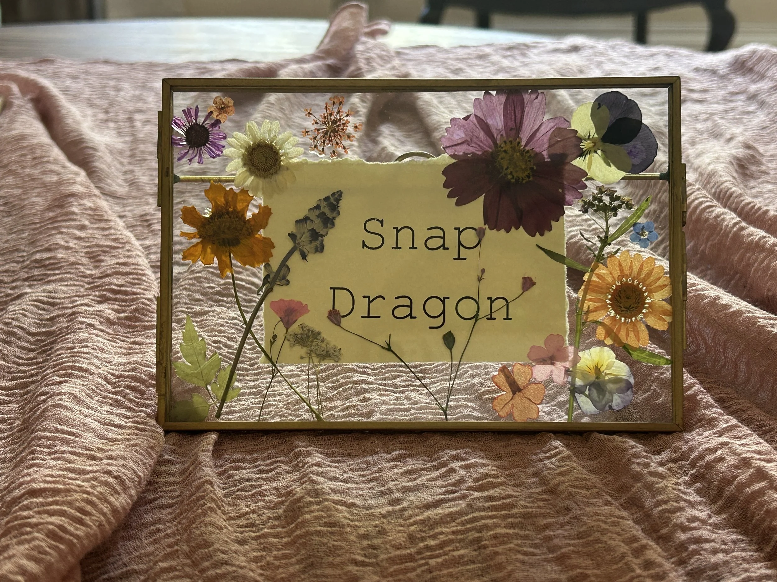 A decorative glass frame with pressed flowers and a paper sign that reads 'Snap Dragn,' placed on a textured pink fabric.