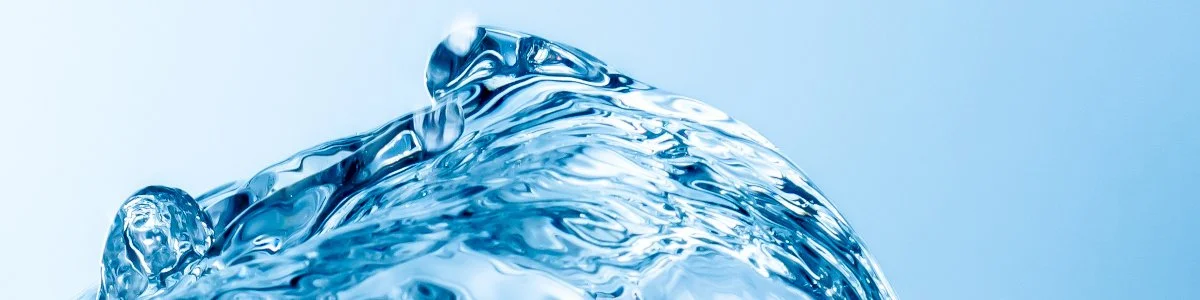 Bimonthly Meeting (March)