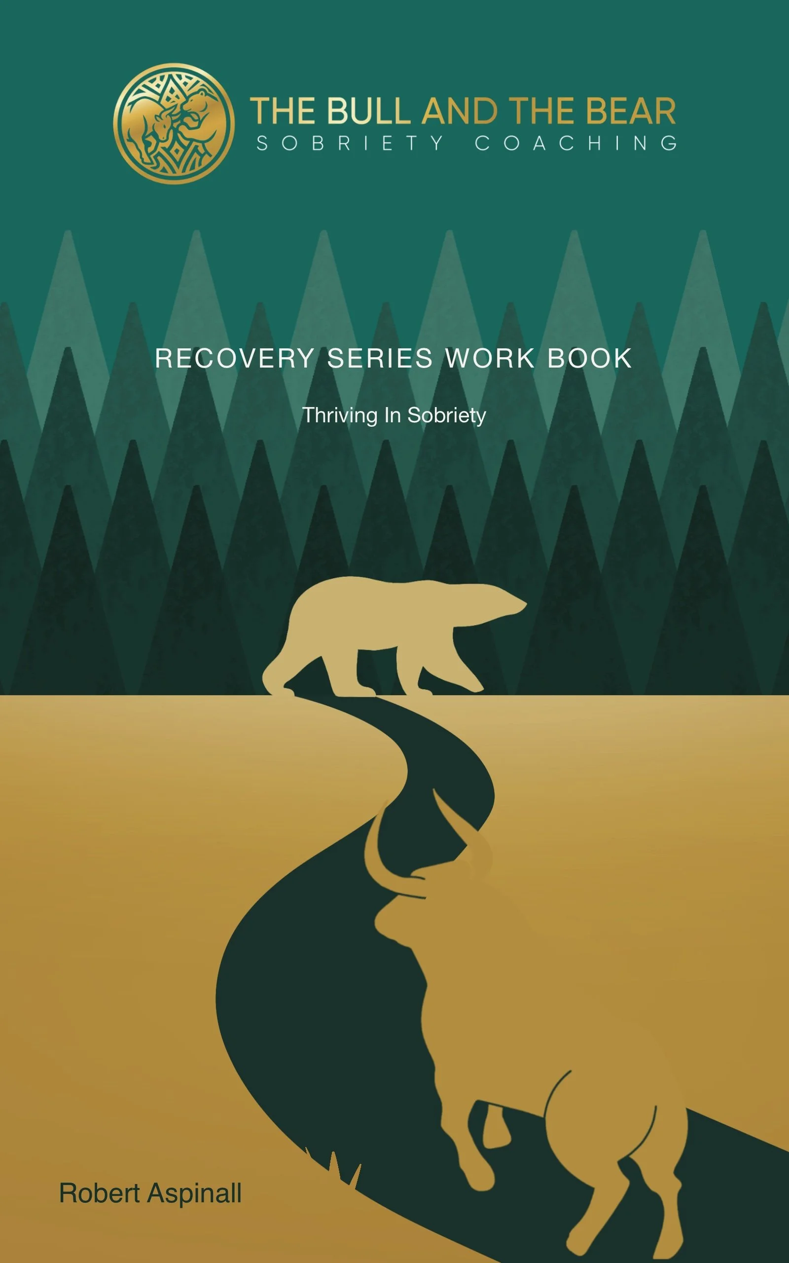 Recovery Series Self-led Course Workbook by Robert Aspinall
