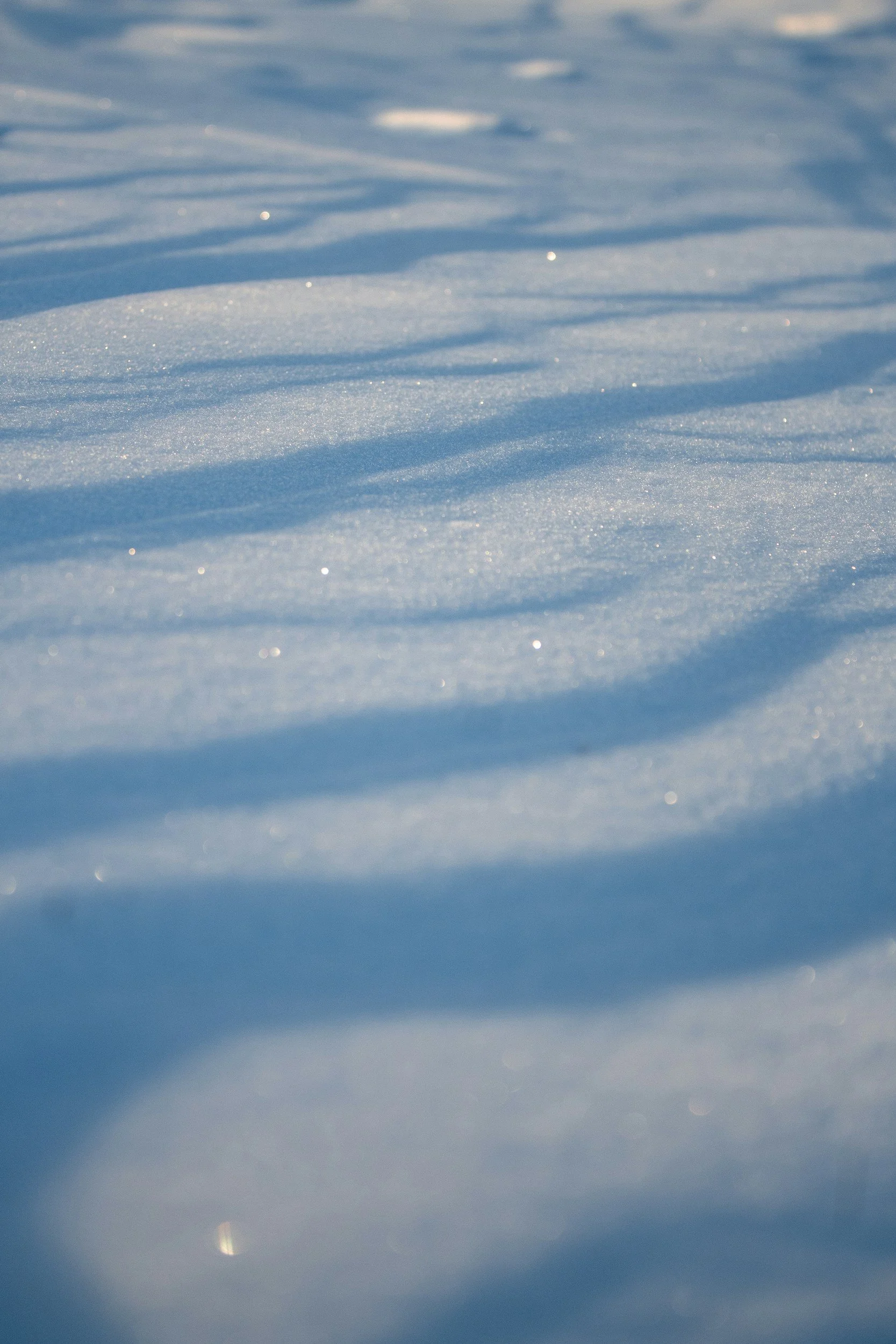 雪の表面に日光が当たり、きらきら輝いている様子。