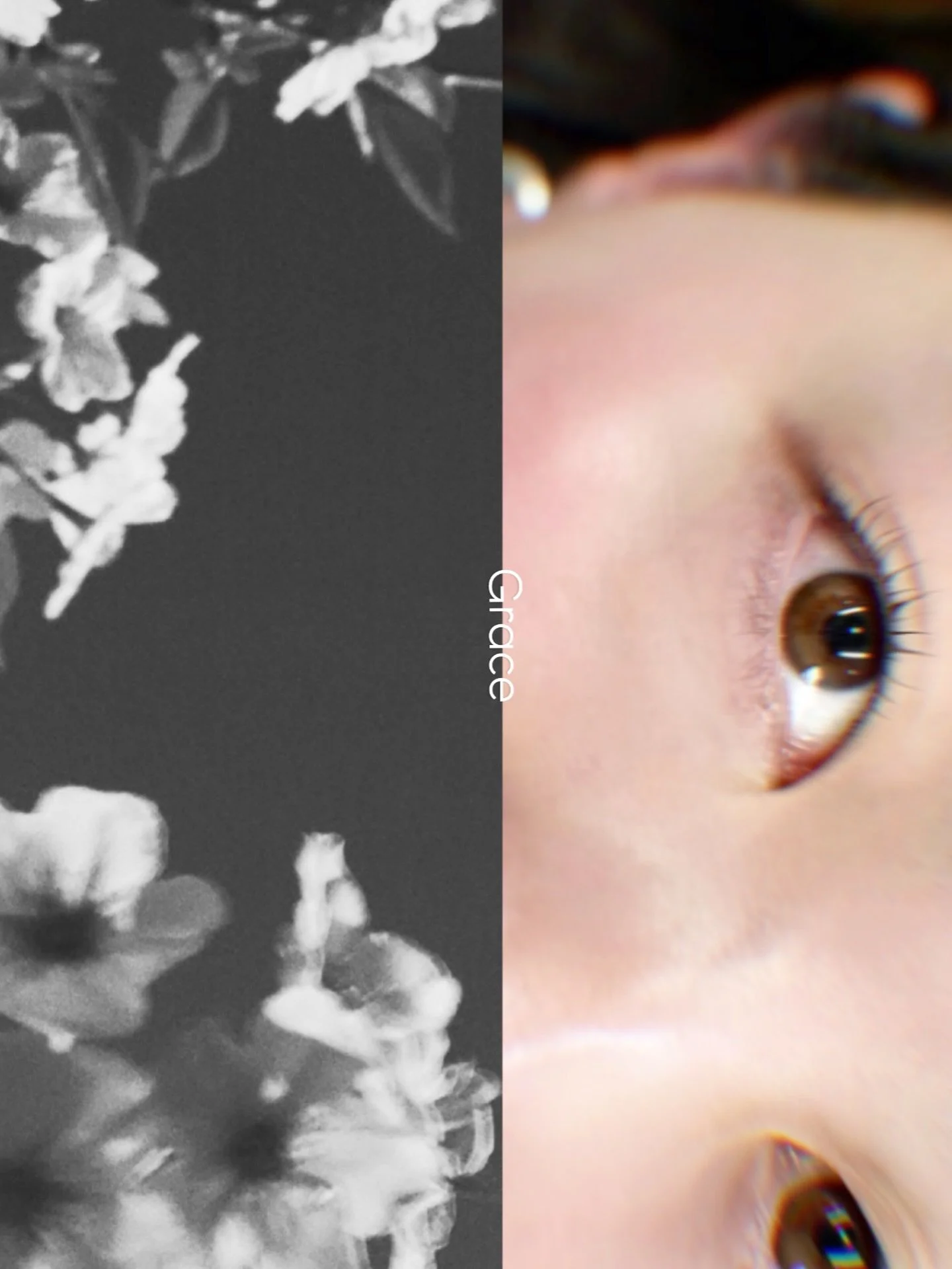 .
 
 
めぐみの春
やわらかく整う季節・・・

暖かくなり
心地よく過ごせる日が増えてまいりました

桜を見に行かれたお話を
聞かせていただき
春の空気を一緒に感じさせていただいています 
この季節の時間を
心地よいペースでお過ごしください 🌸
　
＿
　
体調や目元のコンディションは
揺らぎやすい時期ではありますが

カラーエクステを選ばれたり
楽しまれる方も増えてきました 

カラーの組み合わせは、
当日のご相談も大歓迎です 
その日の気分やご予定に合わせて 💭♡
　
＿

 
今日