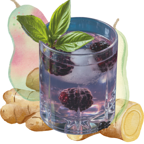 A glass of blackberry-infused water garnished with fresh basil leaves, surrounded by ginger root and apple slices.