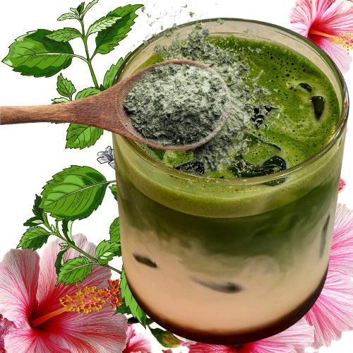 A glass of matcha latte with green tea and ice cubes, topped with green powder, surrounded by pink hibiscus flowers and green leaves. coffee-cocktail. coffeeologist. coffee-lifestyle.