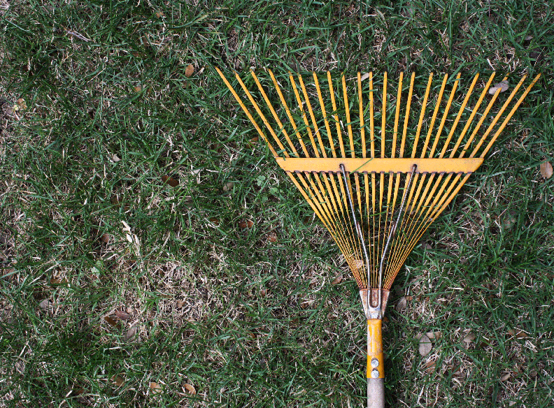 A clearing, of sorts