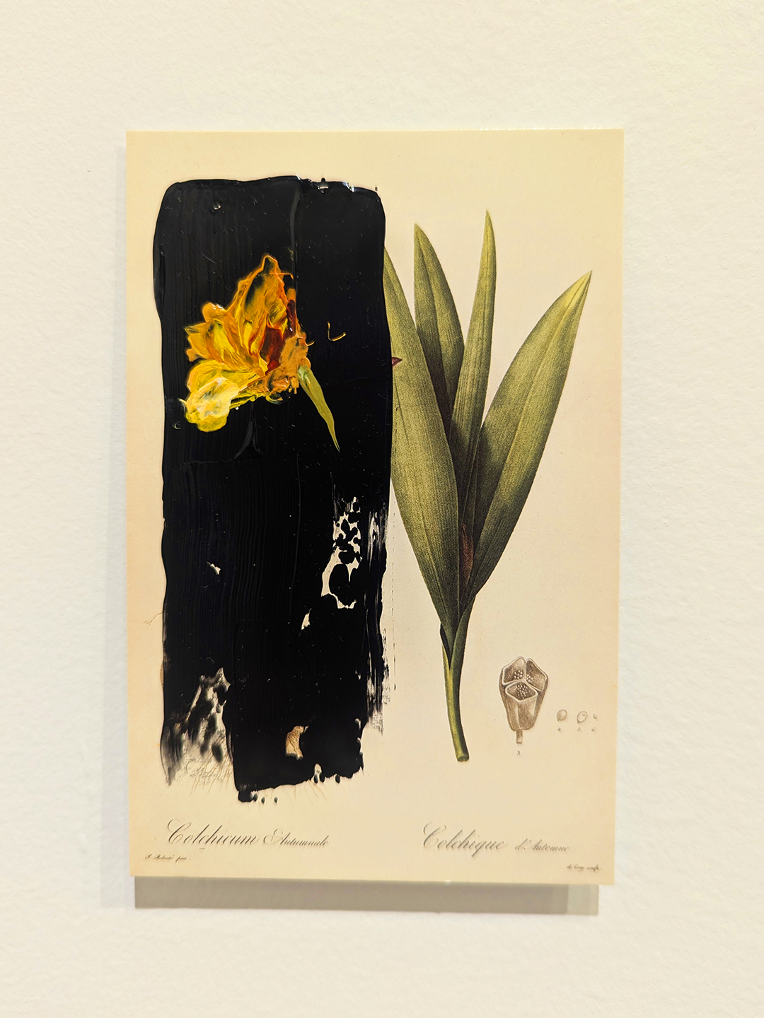IG Post Yellow.png