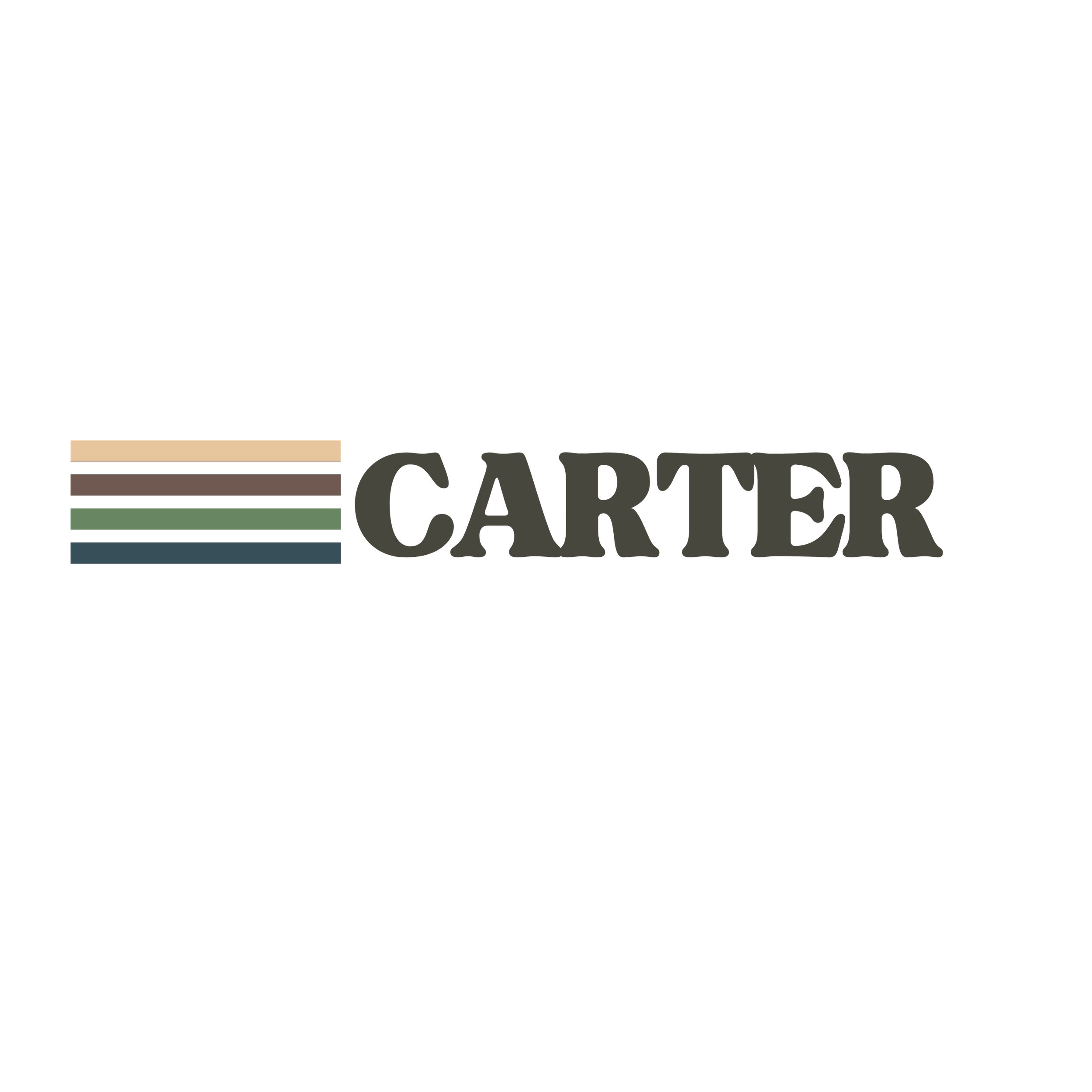 Logo with five horizontal color stripes and the text 'CARTER' next to them.