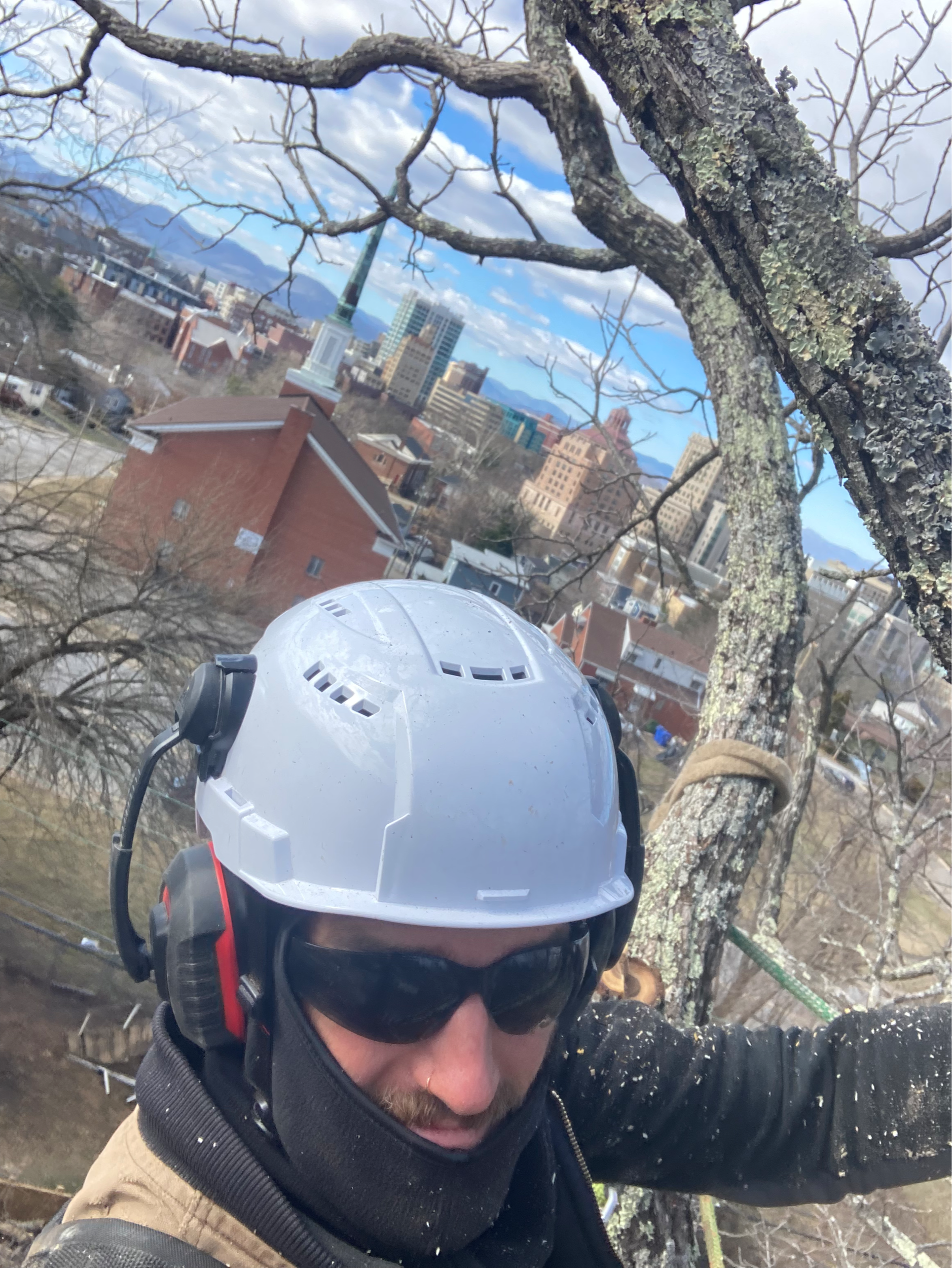A person wearing a white safety helmet, sunglasses, and a black jacket, standing in a tree, taking a selfie with a cityscape in the background. - Woodwitch Arborists, Tree Preservation & Removal in WNC