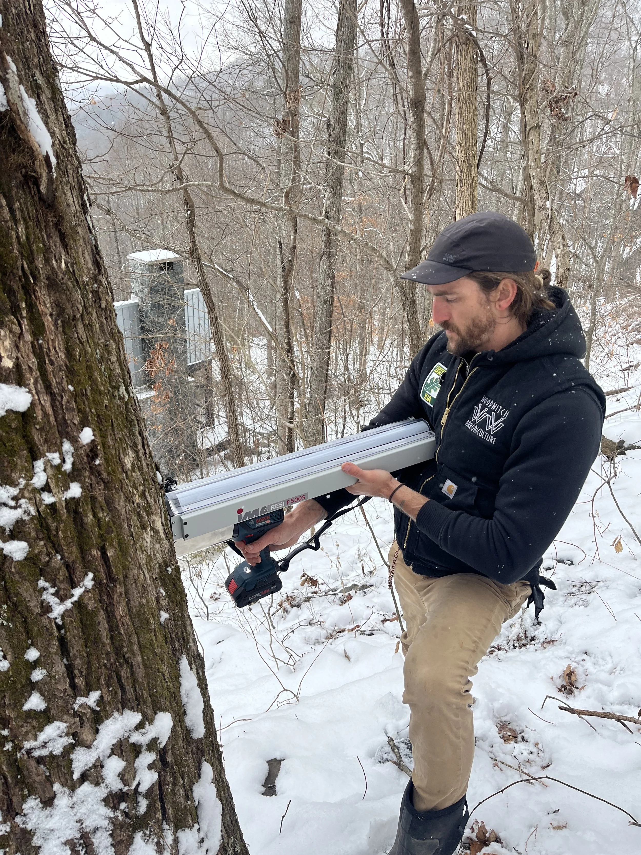 A man wearing black Carhartt jacket and tan pants using a cordless drill in a snowy forest, examining a large tree trunk. - Woodwitch Arborists, Tree Preservation & Removal in WNC