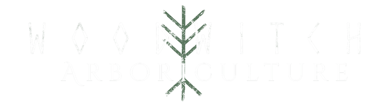 Woodwitch Arboriculture