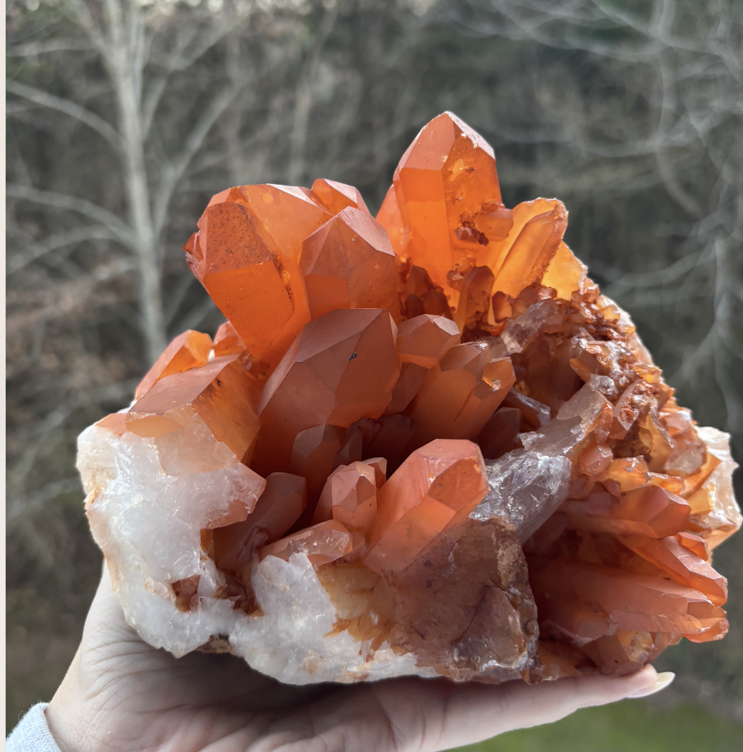 Vibrational Debridement: A Multidimensional Case Study on the Efficacy of Black Obsidian and Tangerine Quartz in Pelvic and Sacral Clearing