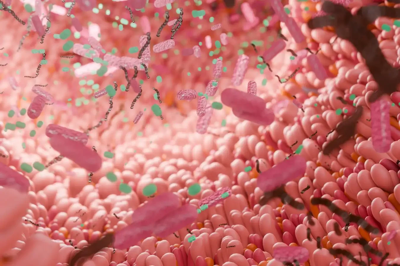 How Prescription Drugs are Decimating the Veteran Gut