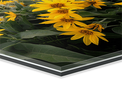 A glass frame with yellow flowers and green leaves inside.