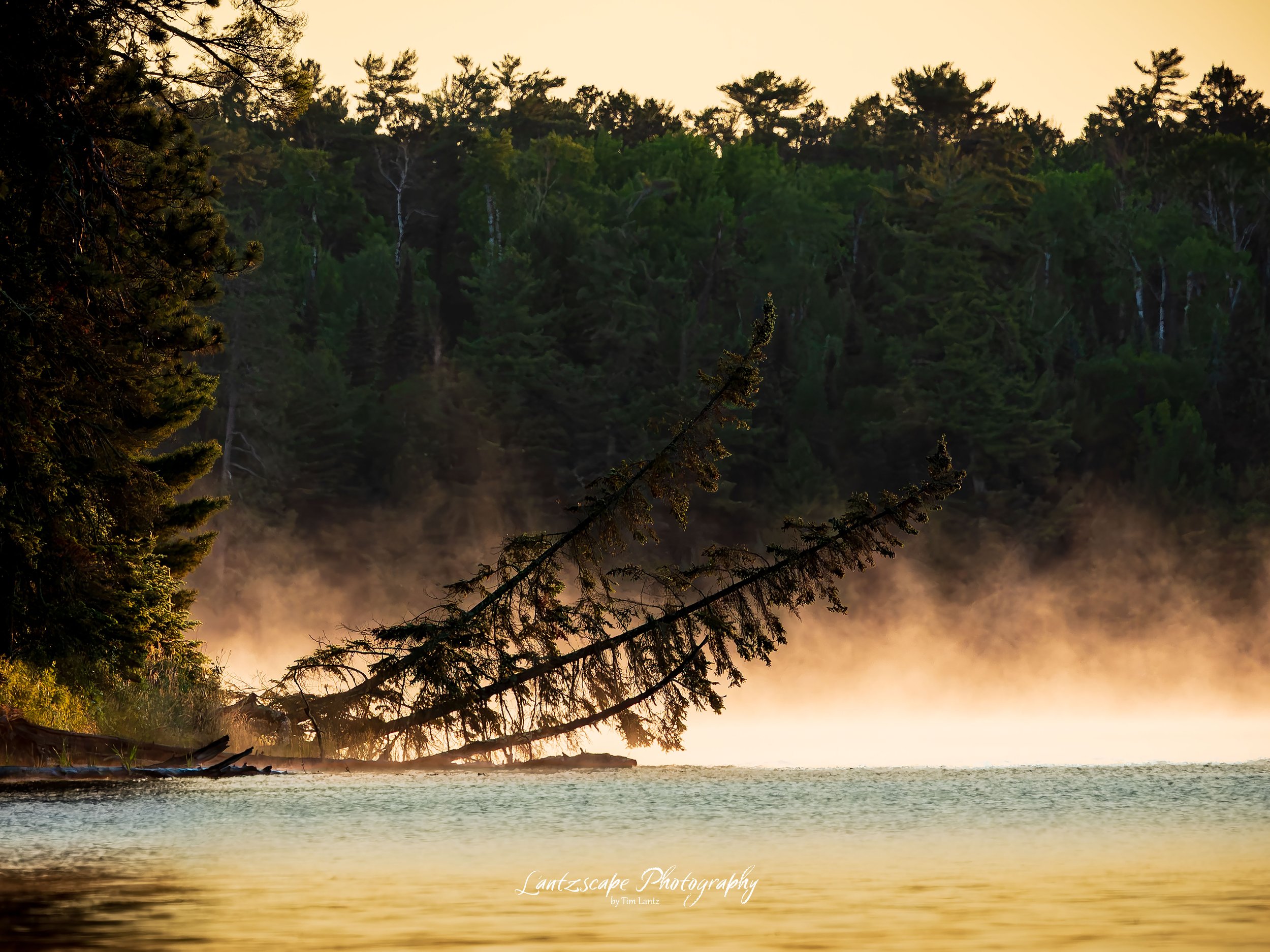 Sunset over a forested shoreline with green trees and mist rising from the water.