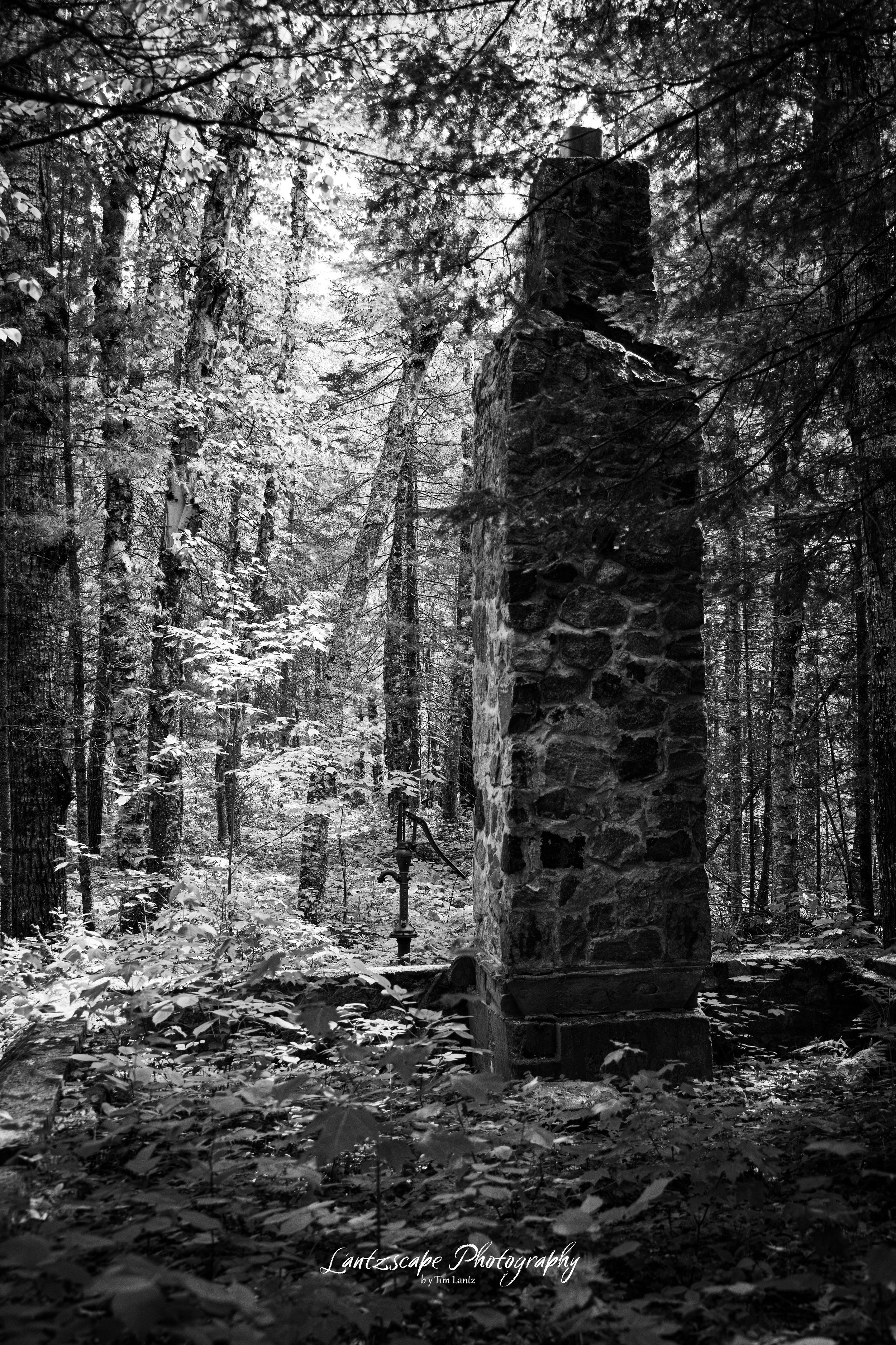 A black and white photo of an old stone chimney and old fashioned well pump standing among tall trees in a dense forest, with a narrow pathway covered in leaves leading into the woods.