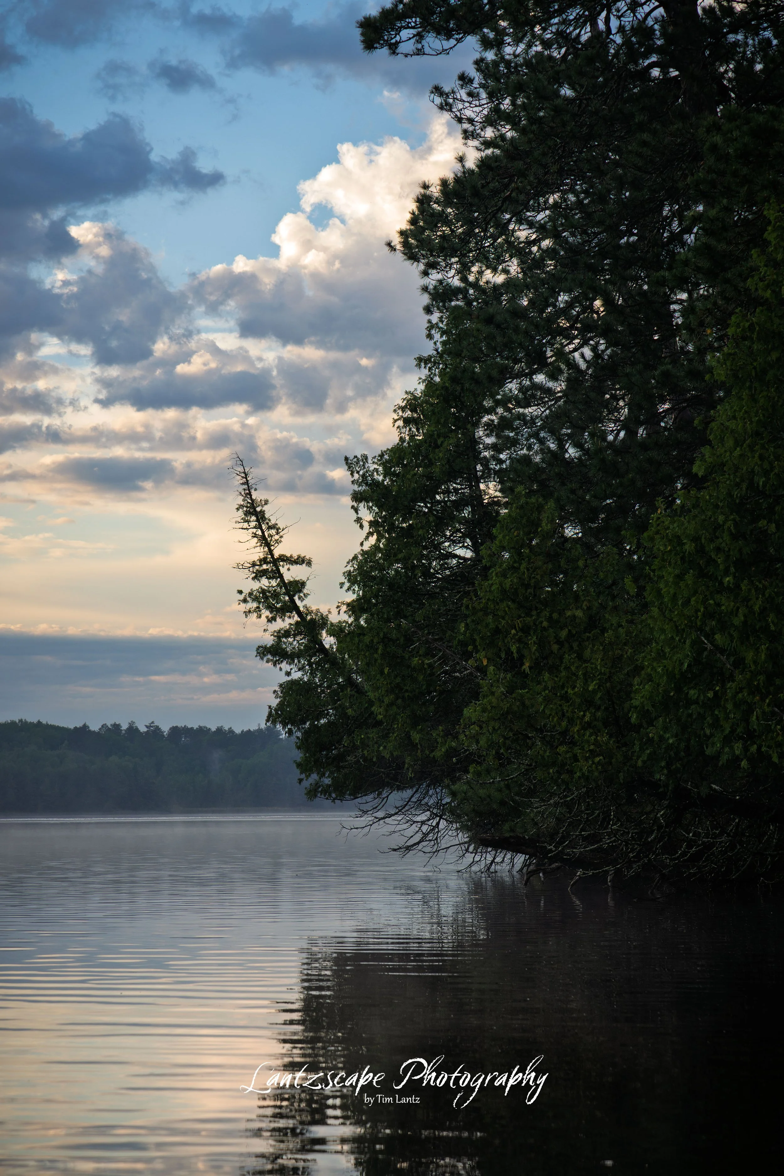 A serene lakeside scene at dusk with calm water reflecting the sky and trees. The right side is dominated by tall, dense trees with dark green foliage, and a few trees are visible along the shoreline. The sky is partly cloudy with a mix of light and dark clouds, and the horizon shows a low, distant treeline.