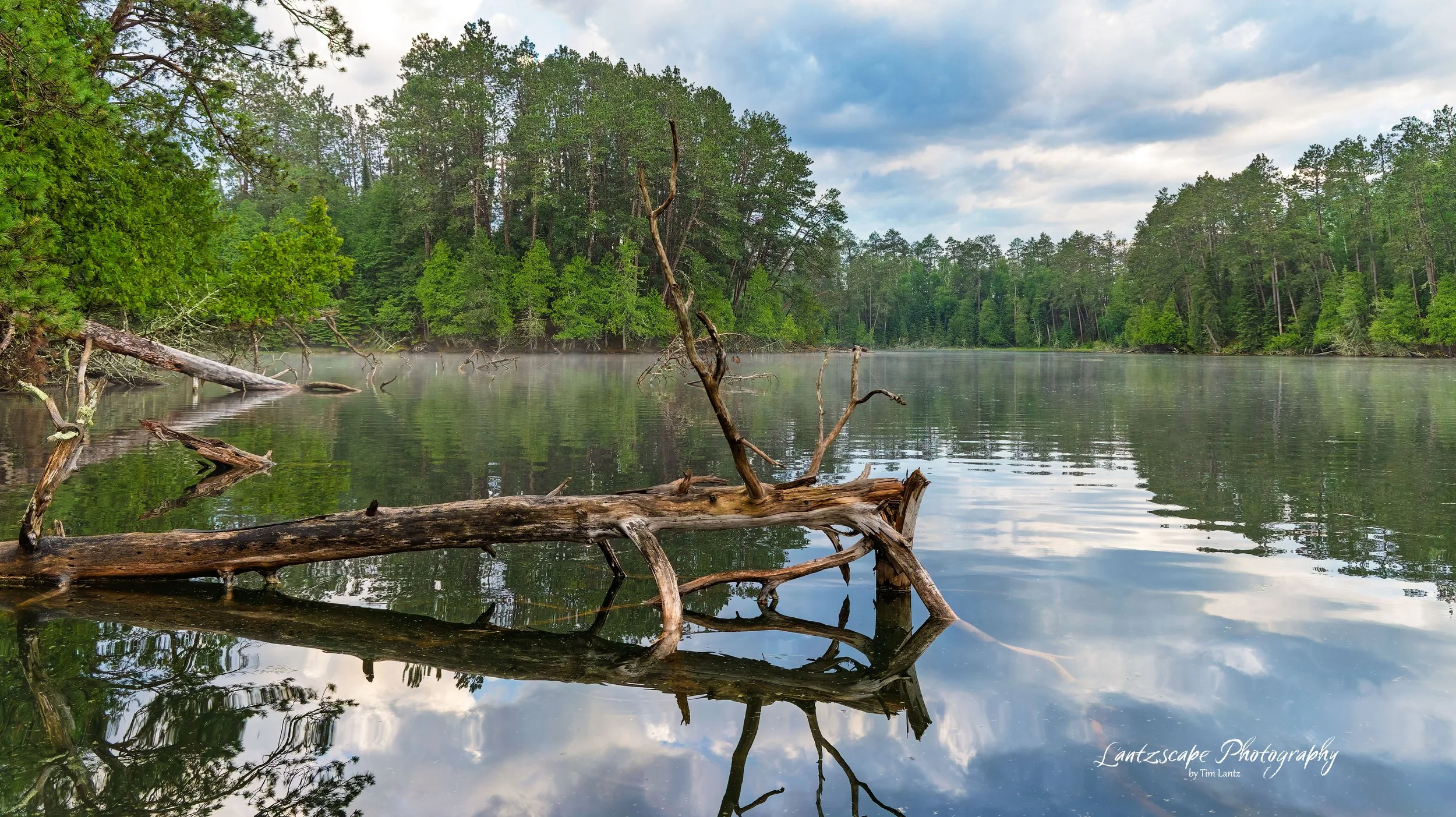 A calm lake scene with reflections of green trees and a cloudy sky on the water, with fallen logs and branches partially submerged in the water.