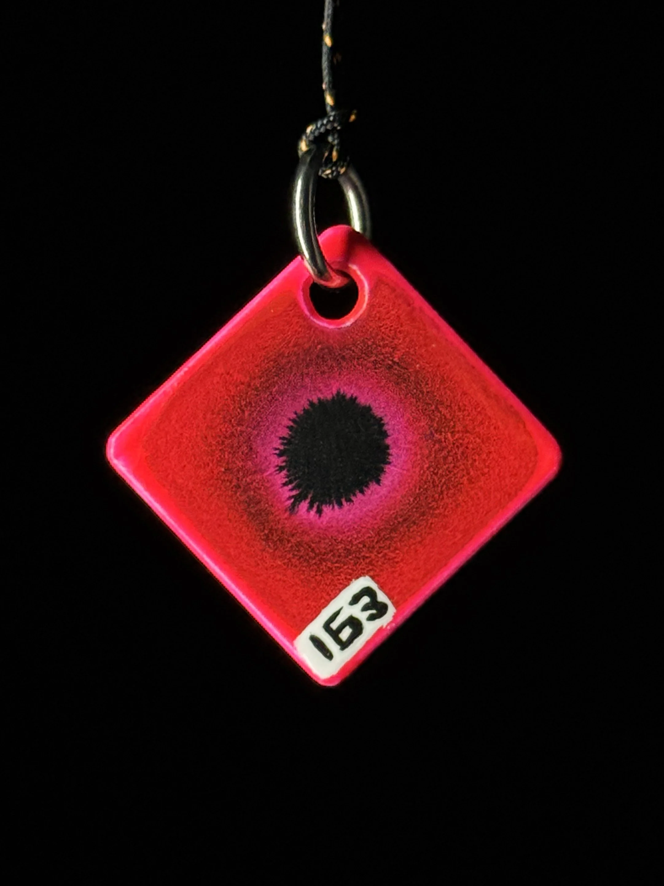 163f.jpg
