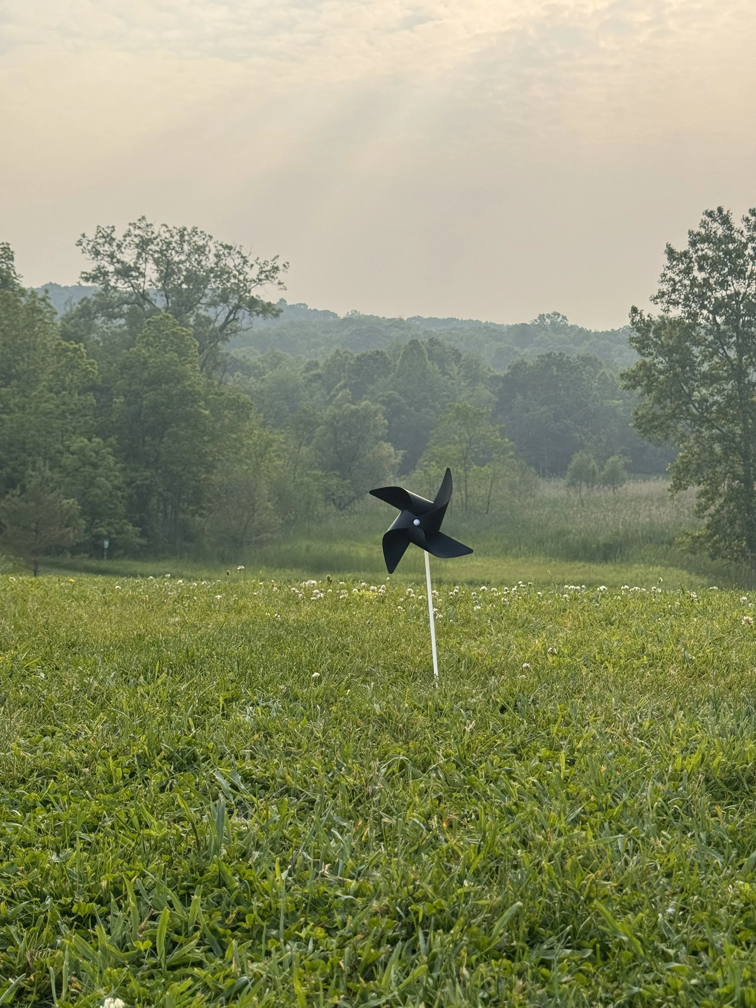 A black pinwheel on a white stake in a grassy field with trees and a cloudy sky in the background.