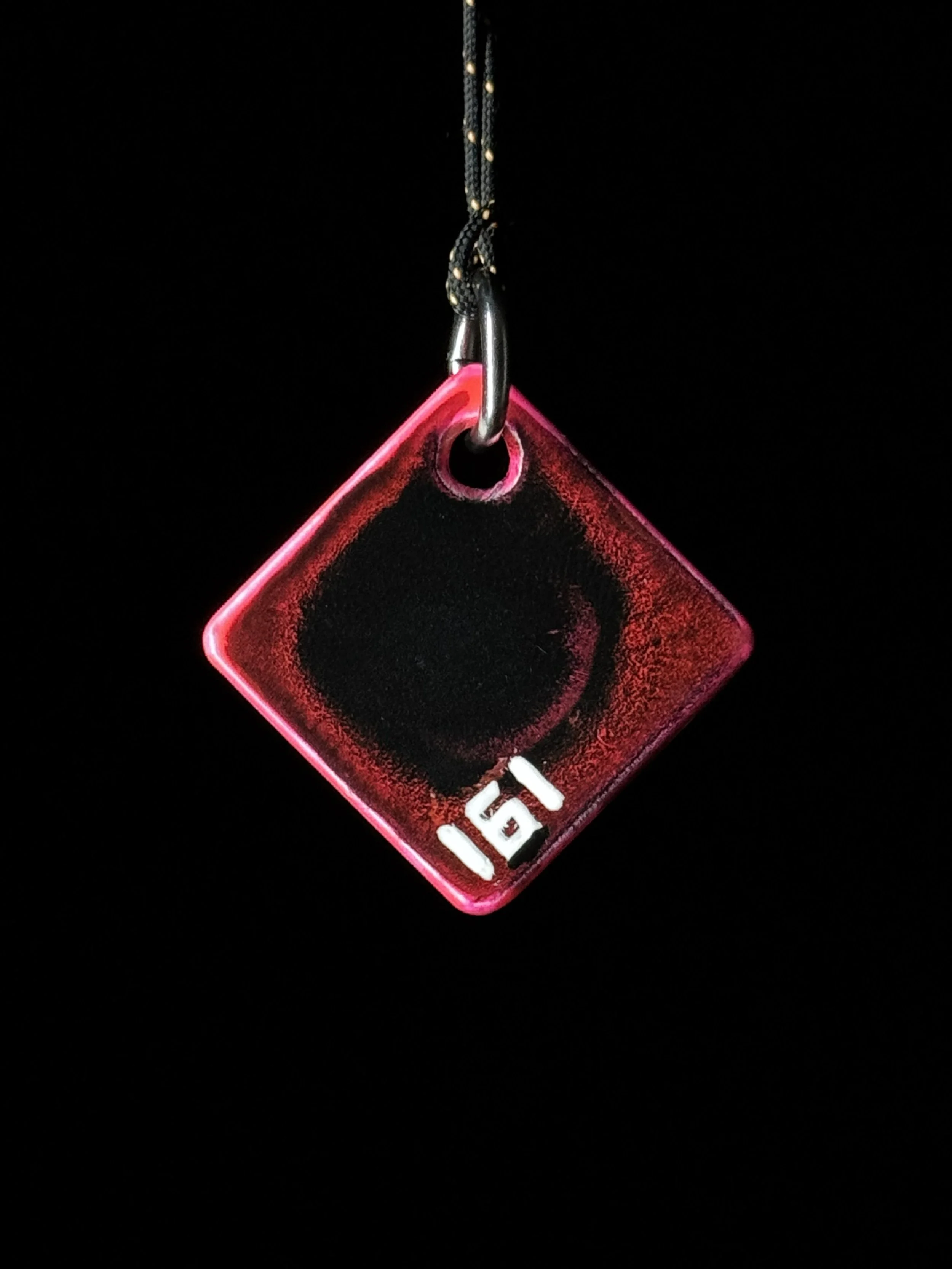 161b.jpg
