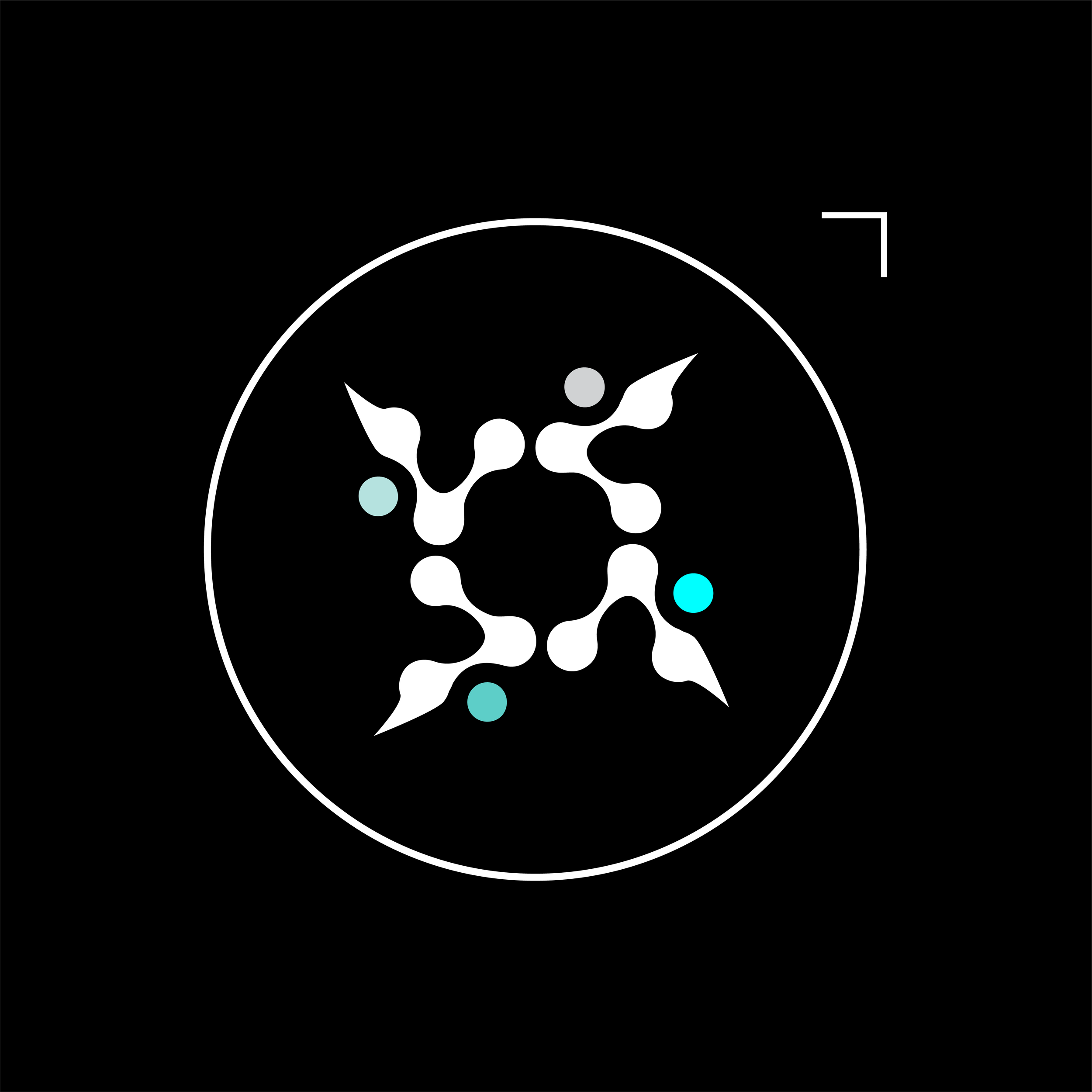 A graphical representation of a molecular structure with connected white nodes and four colored dots against a black background, enclosed in a white circle.