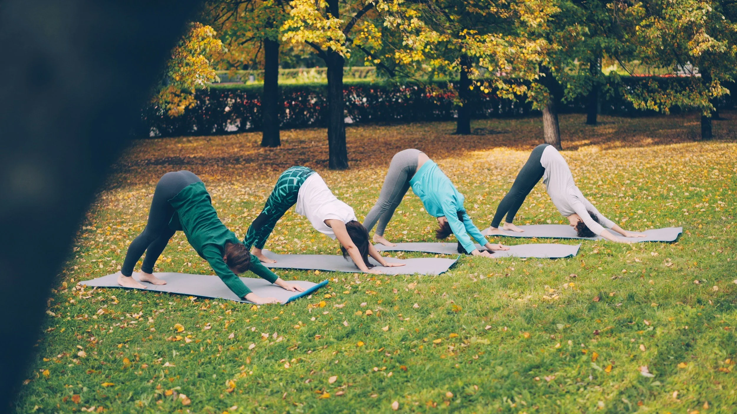 Four people practicing yoga outdoors on grass in a park, performing downward dog poses. The background features trees with autumn leaves.