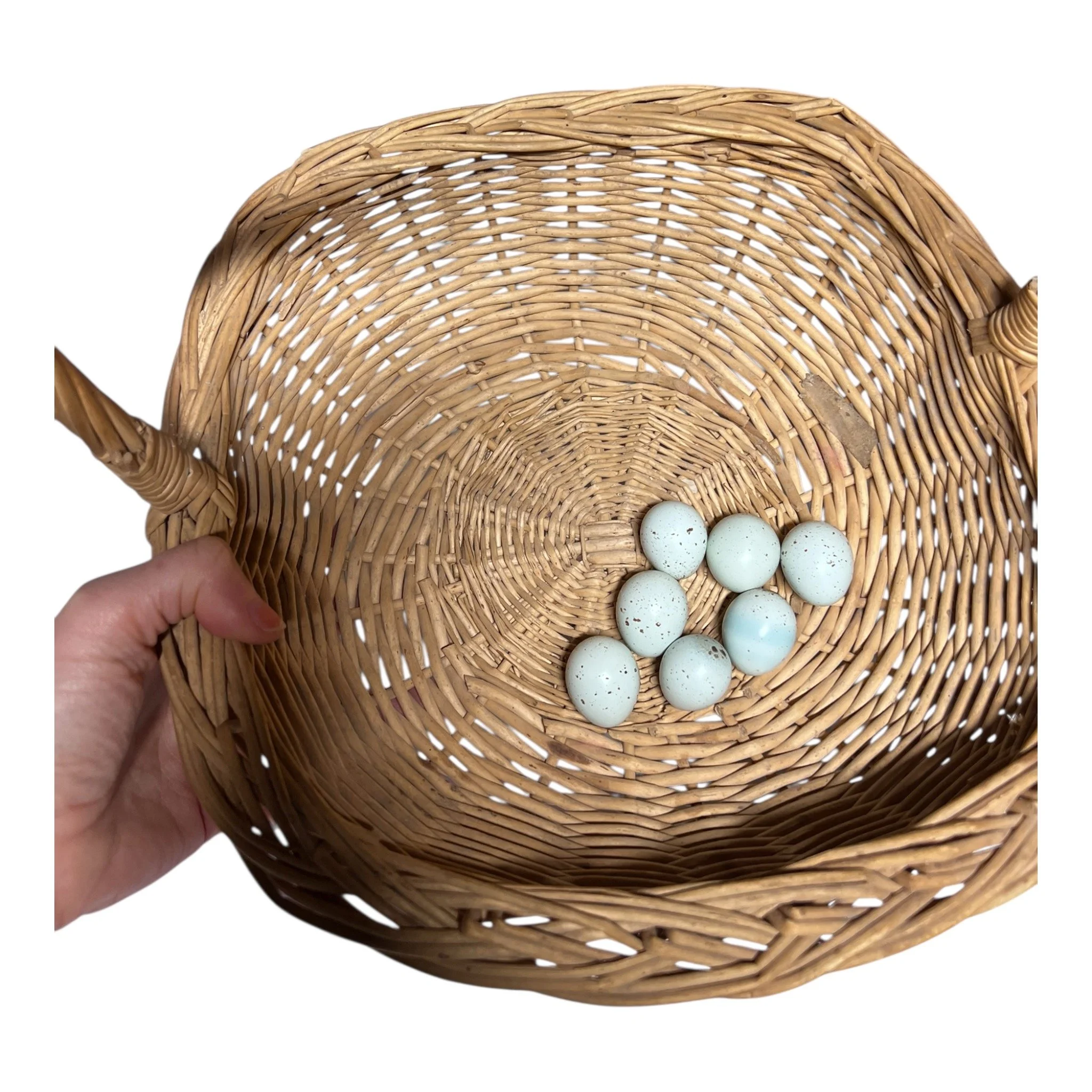 Roux and Range True Blue Celadon Eggs