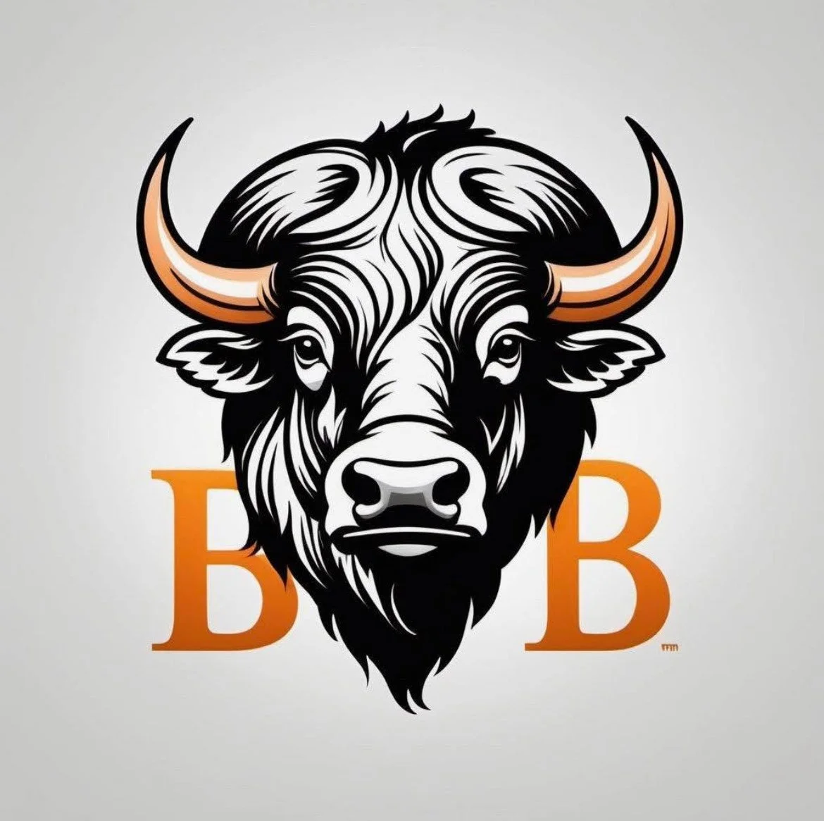 Buffalo Build Construction LLC