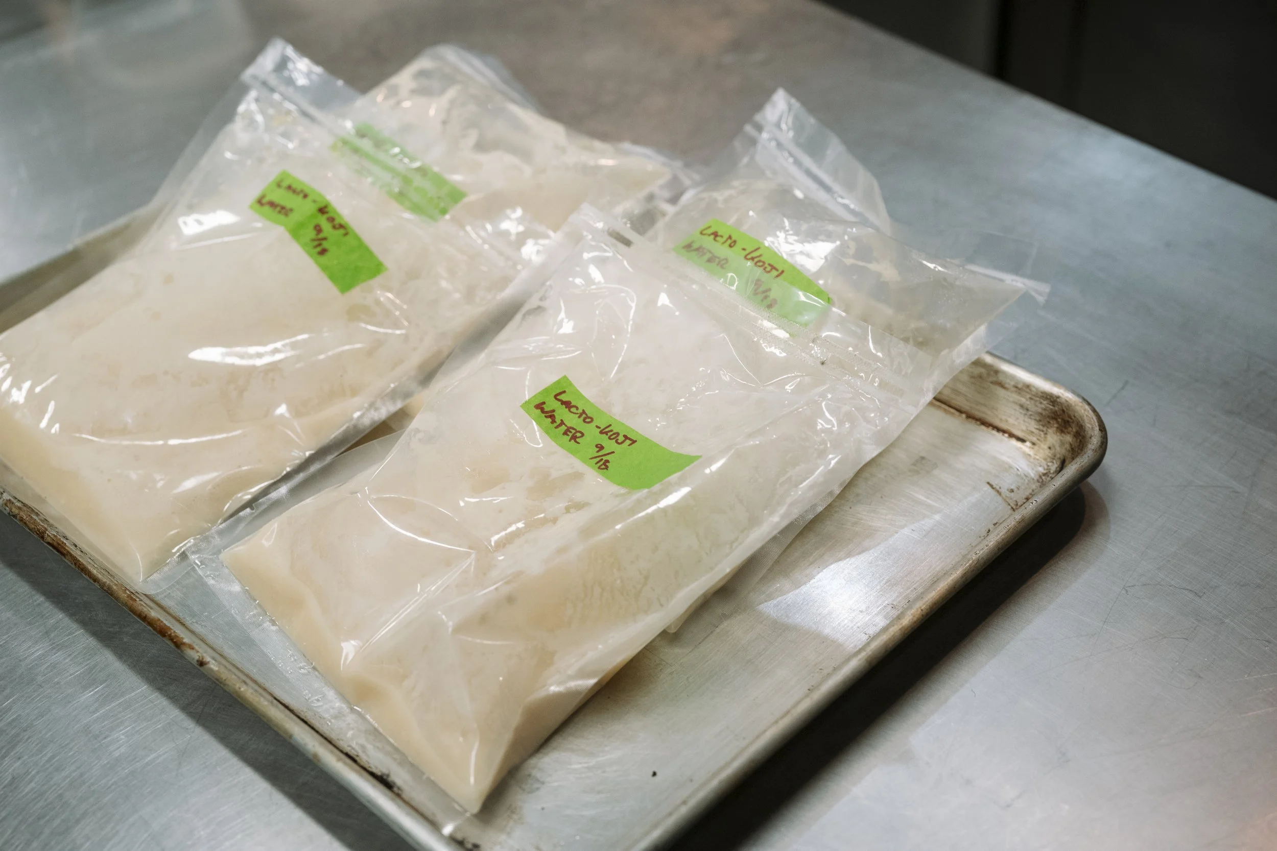 Fermentation Classes and Program Development