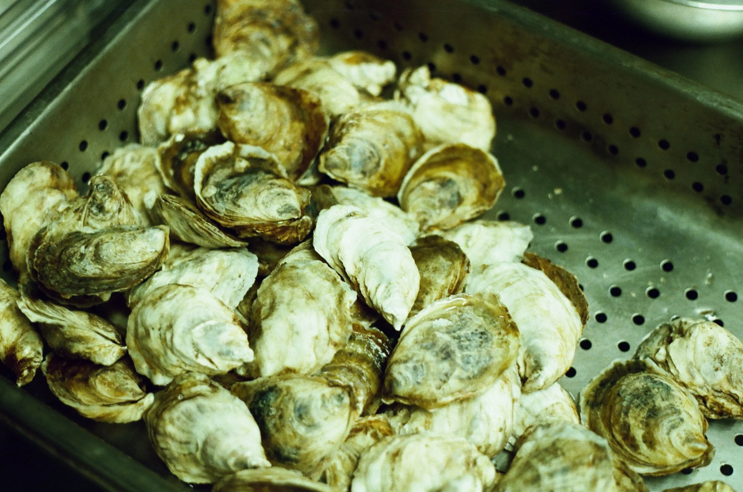 Raw Bar, Oysters, Hudson Valley Wedding