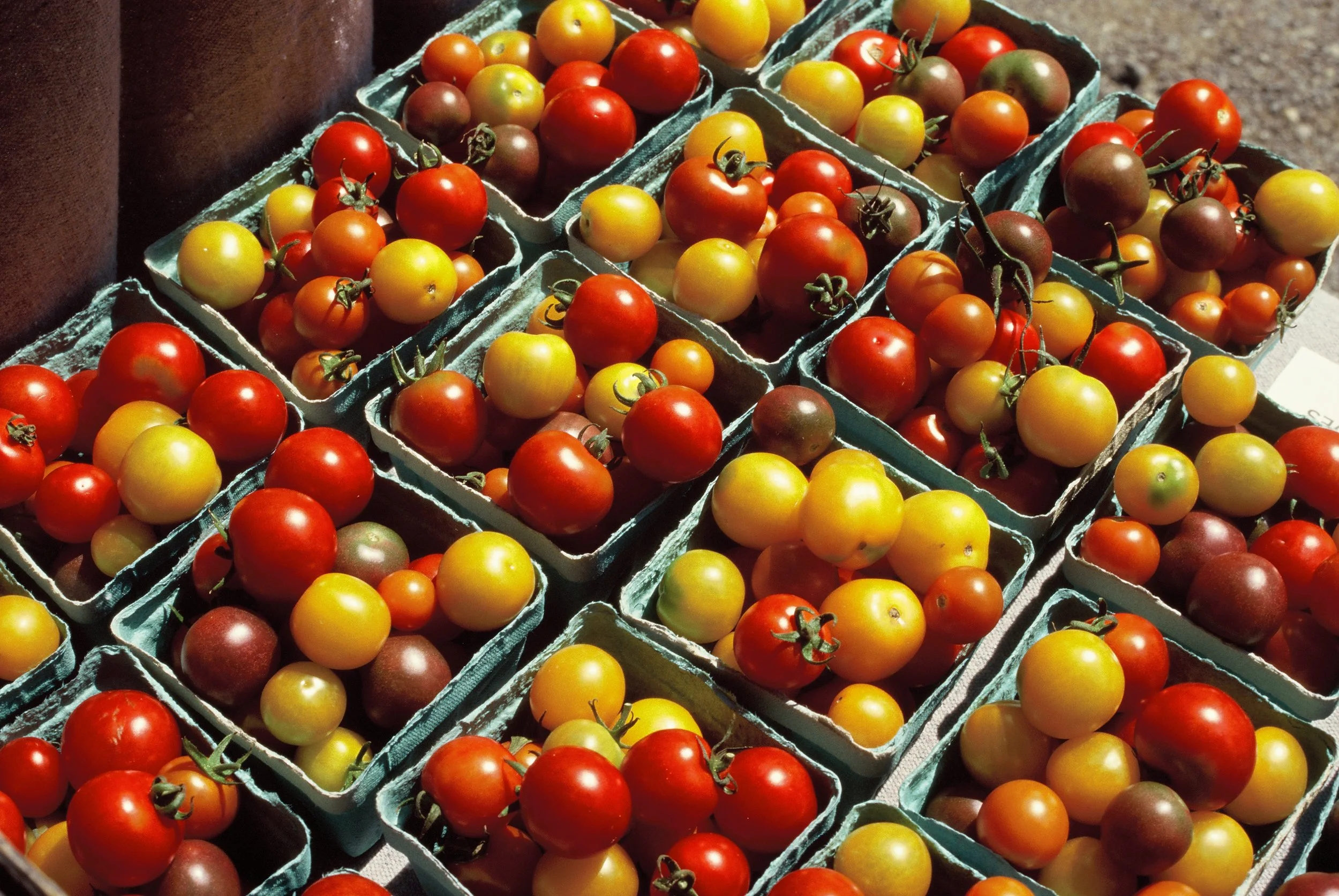 Various small heirloom tomatoes in different colors, including red, yellow, orange, and purple, displayed in small blue cartons at a market stall.