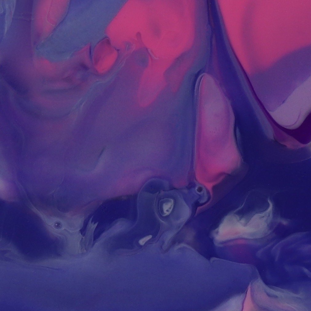 The Rabbit And The Cow