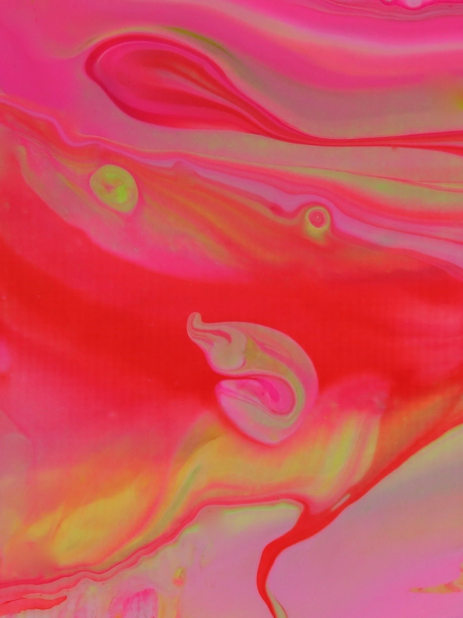 The Boy Who Looked Up