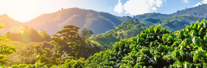 Screenshot 2024-10-13 095633.png