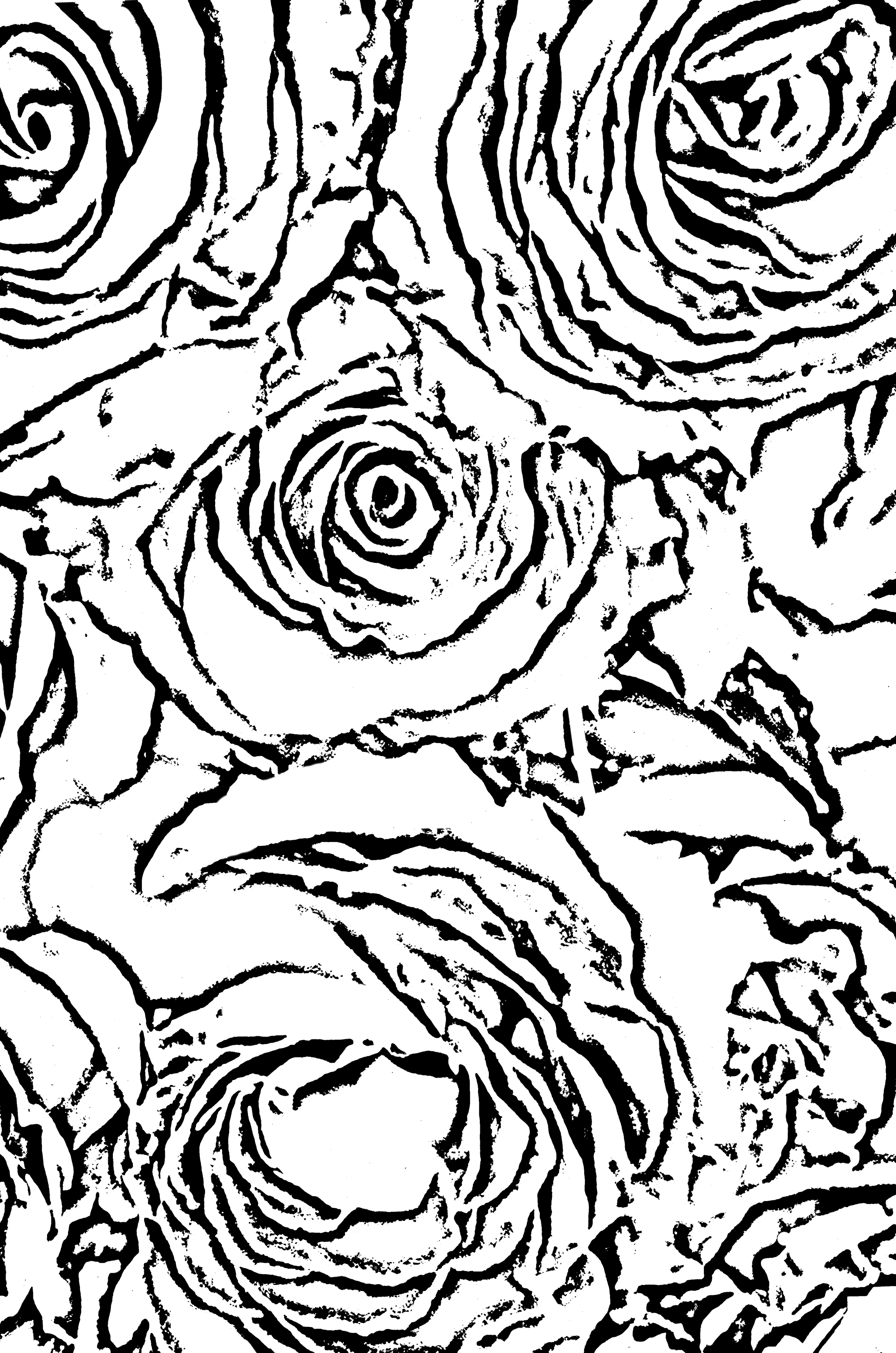 Roses Coloring Art