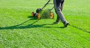 Lawn care Services