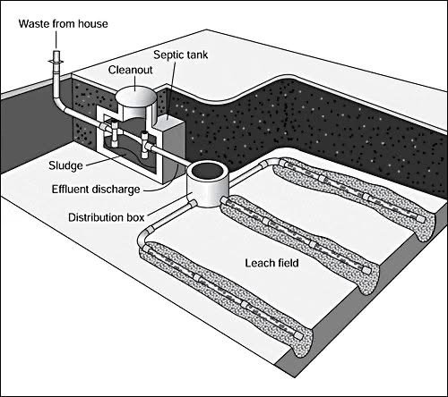 Diagram of a wastewater treatment system showing waste from house entering a septic tank, which includes a cleanout, septic tank, sludge, and effluent discharge into leach fields connected through a distribution box.