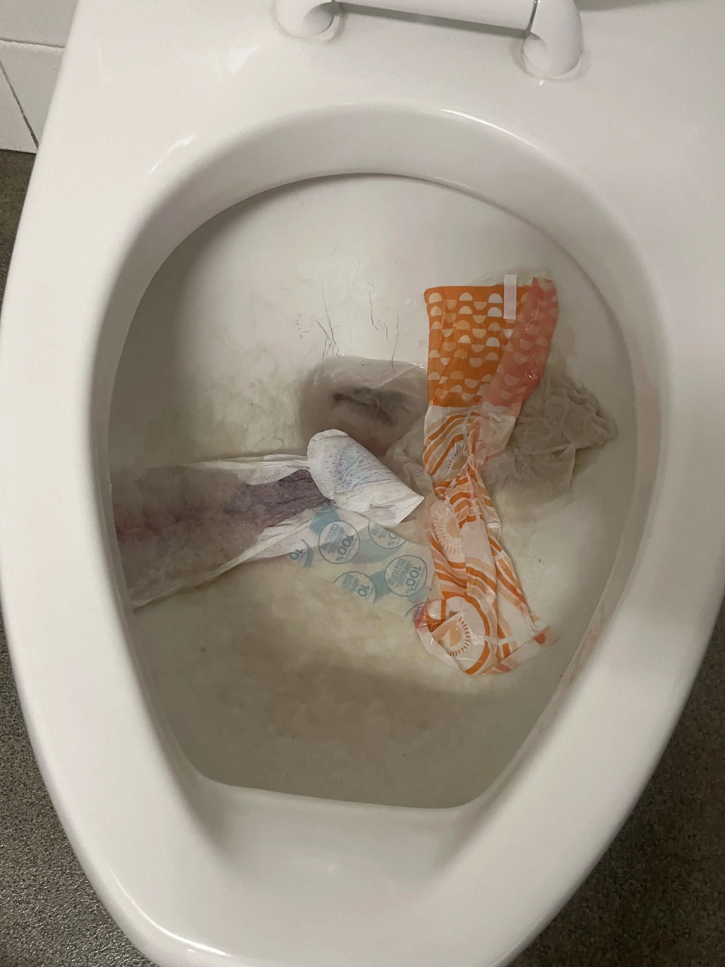clogged toilet 